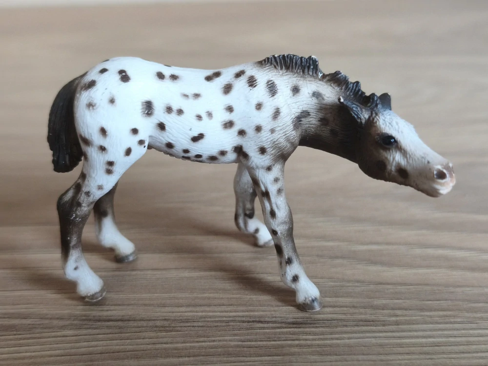Knabstrupperské hříbě 13619, model 2006