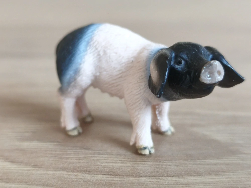 sele švábské 13636, model 2007