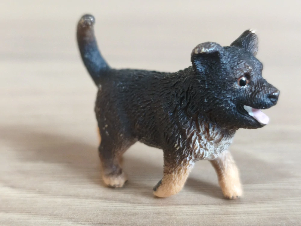 Německý ovčák štěně 16832, model 2014