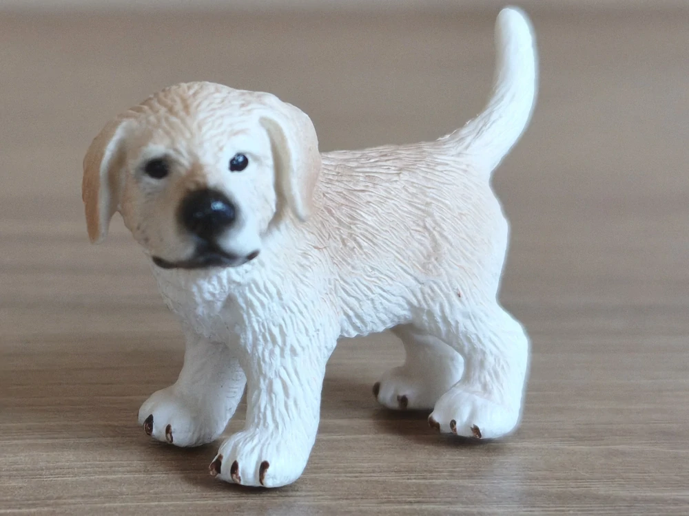 zlatý retrívr štěně 16378, model 2008