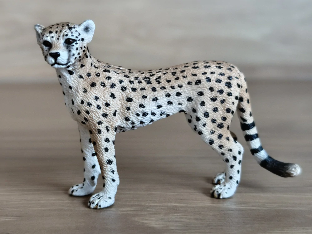 gepard 14614, model 2009