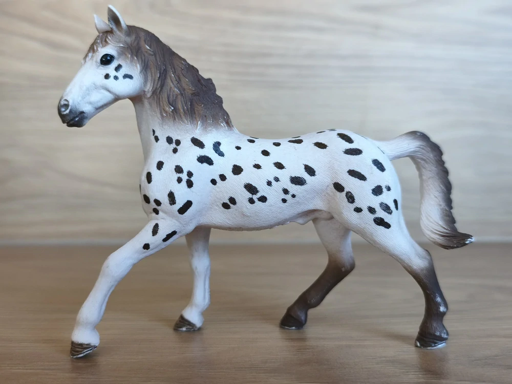 knabstrupperský hřebec 13889, model 2018