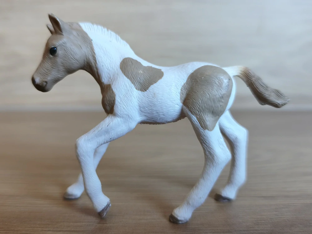 Paint hříbě 13886, model 2018