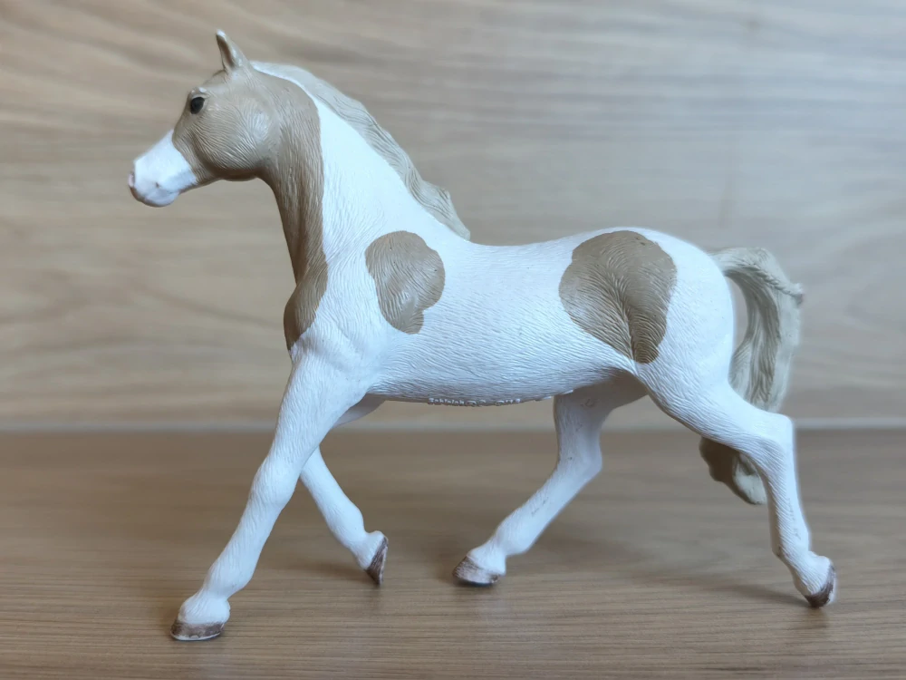 Hnědobílá paint klisna 13884, model 2018