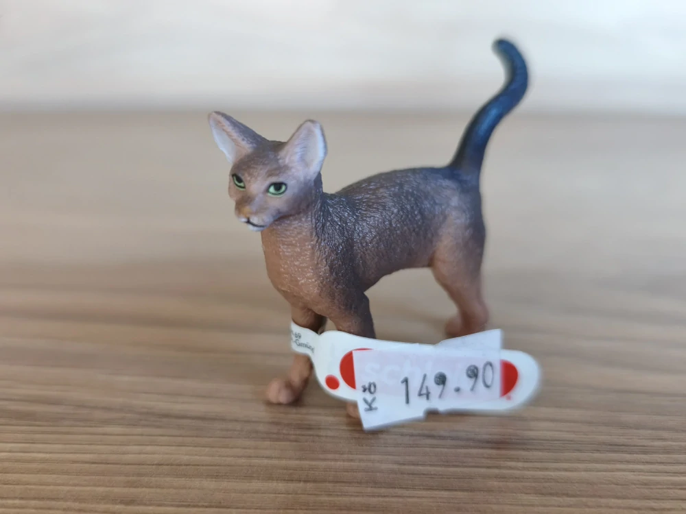Habešská kočka 13964, model 2022
