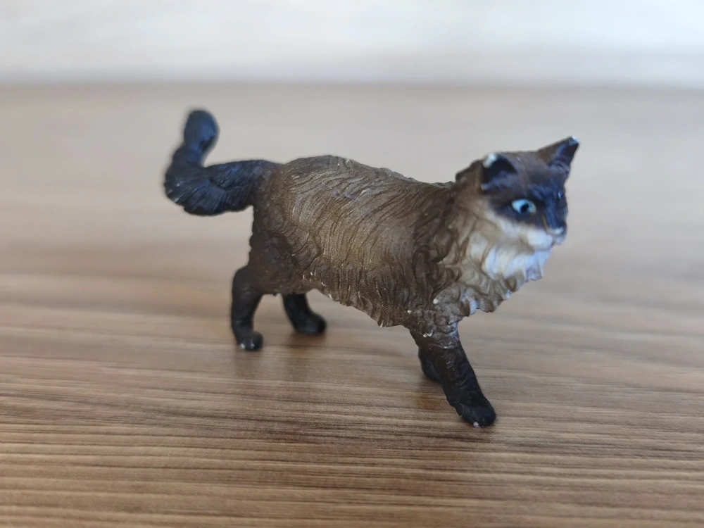 kočka Ragdoll 13940, model 2021