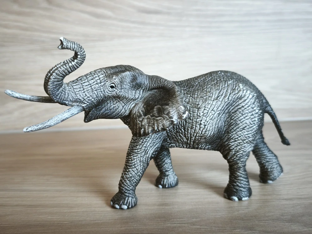 slon africký samec 14762, model 2015