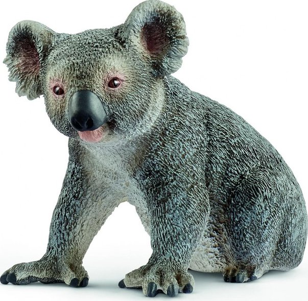 koala 17031, model 2017, nové
