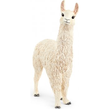 lama 13920, nové