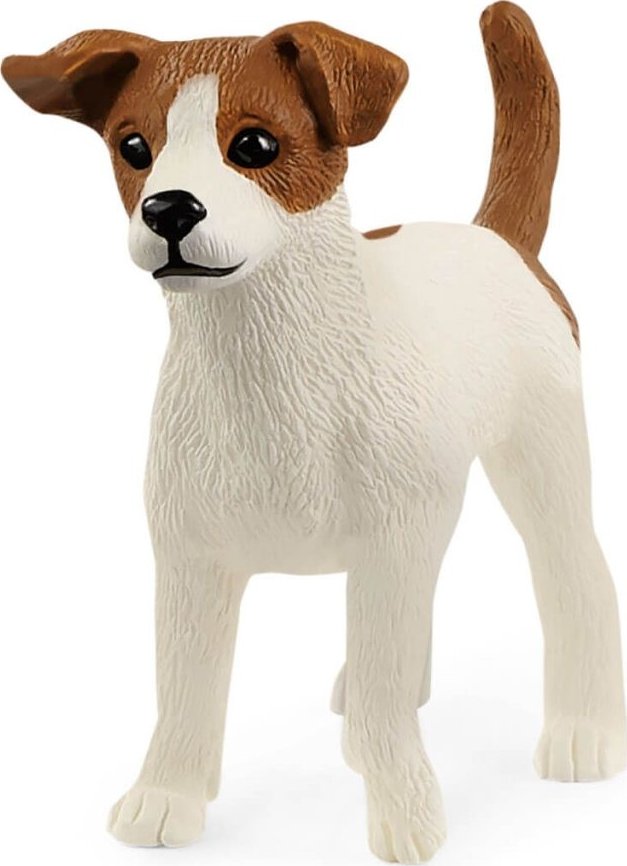 jack russel teriér 13916, nové