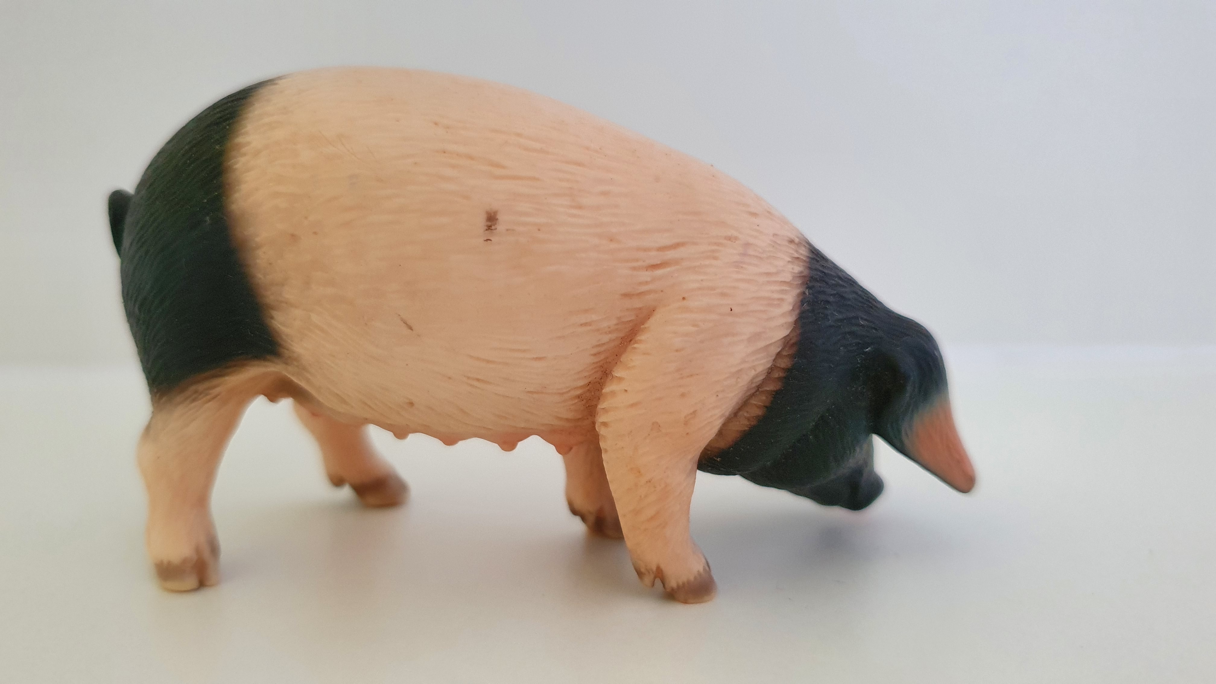 prasnice Švábská 13612, model 2015