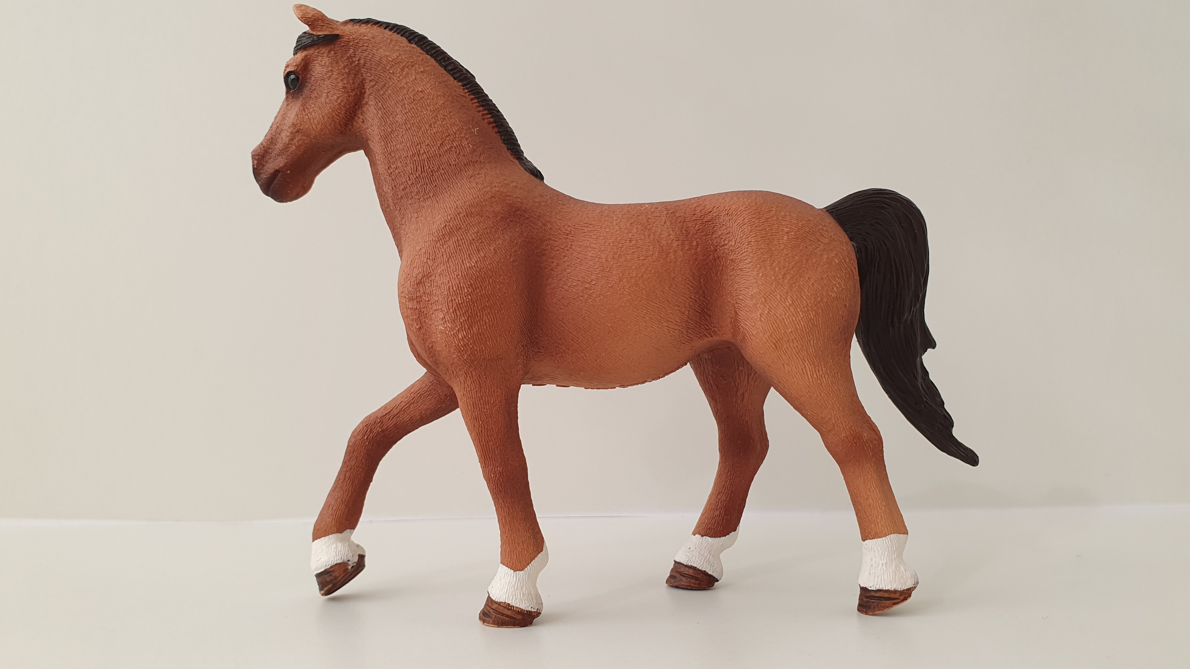 Quarter od Hannah 42411, model 2017