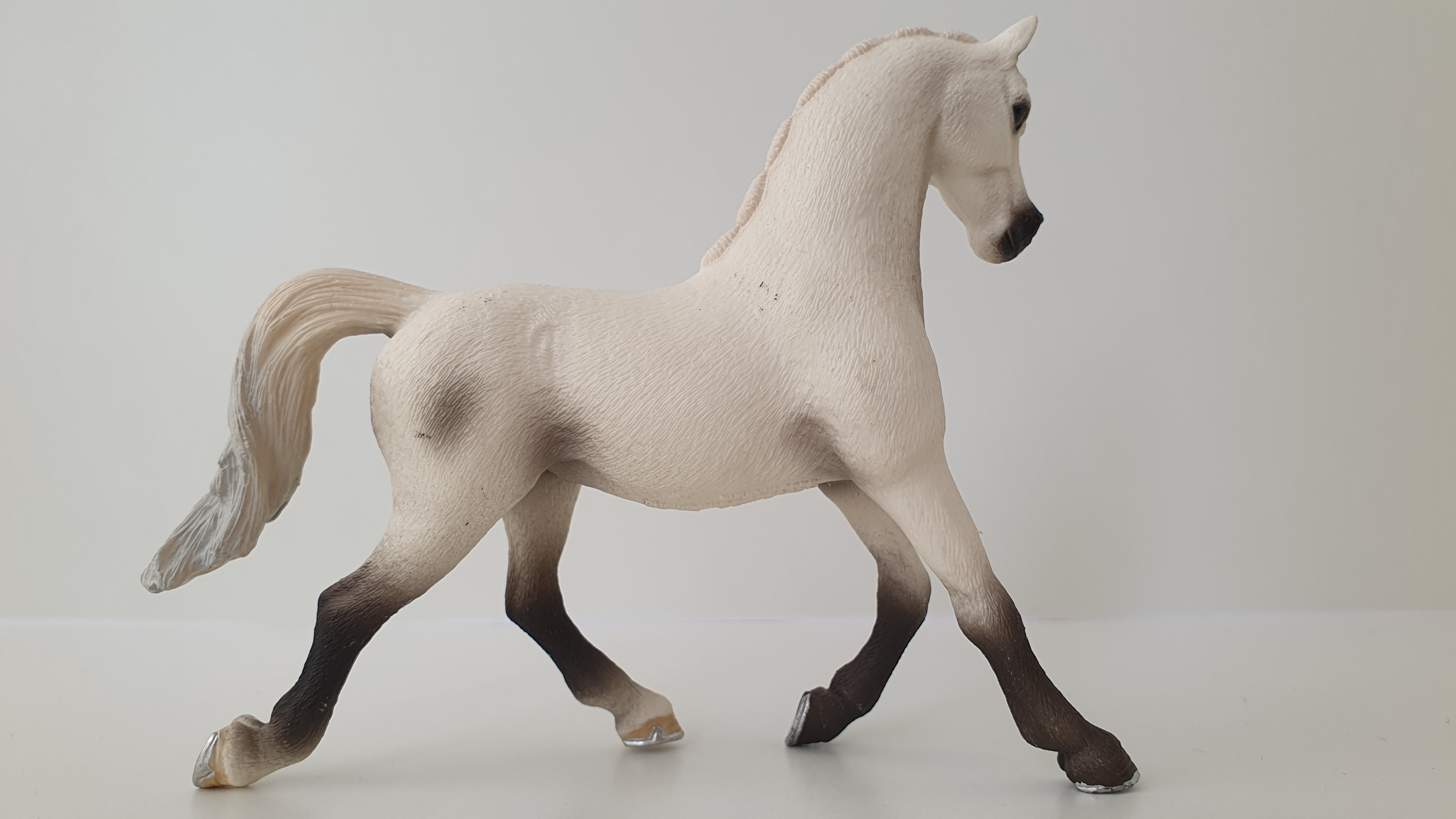 Bílá arabská klisna 13761, model 2013