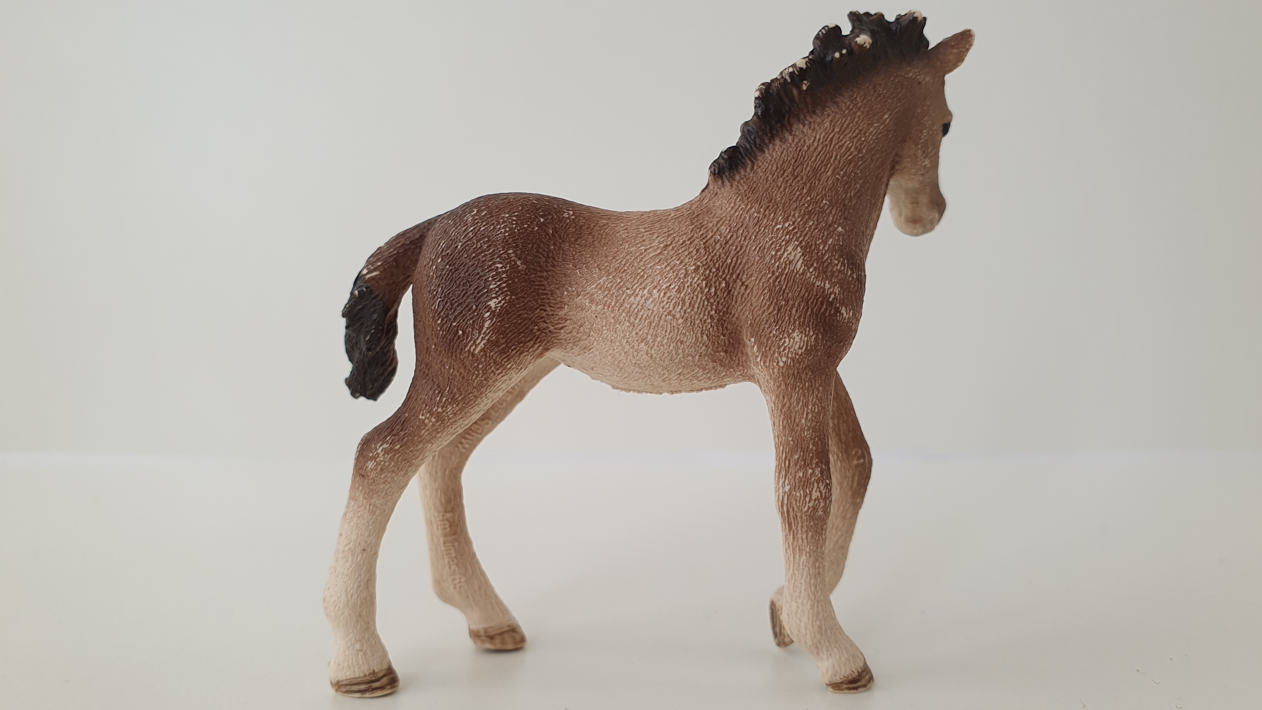 Andaluské hříbě  13822, model 2016