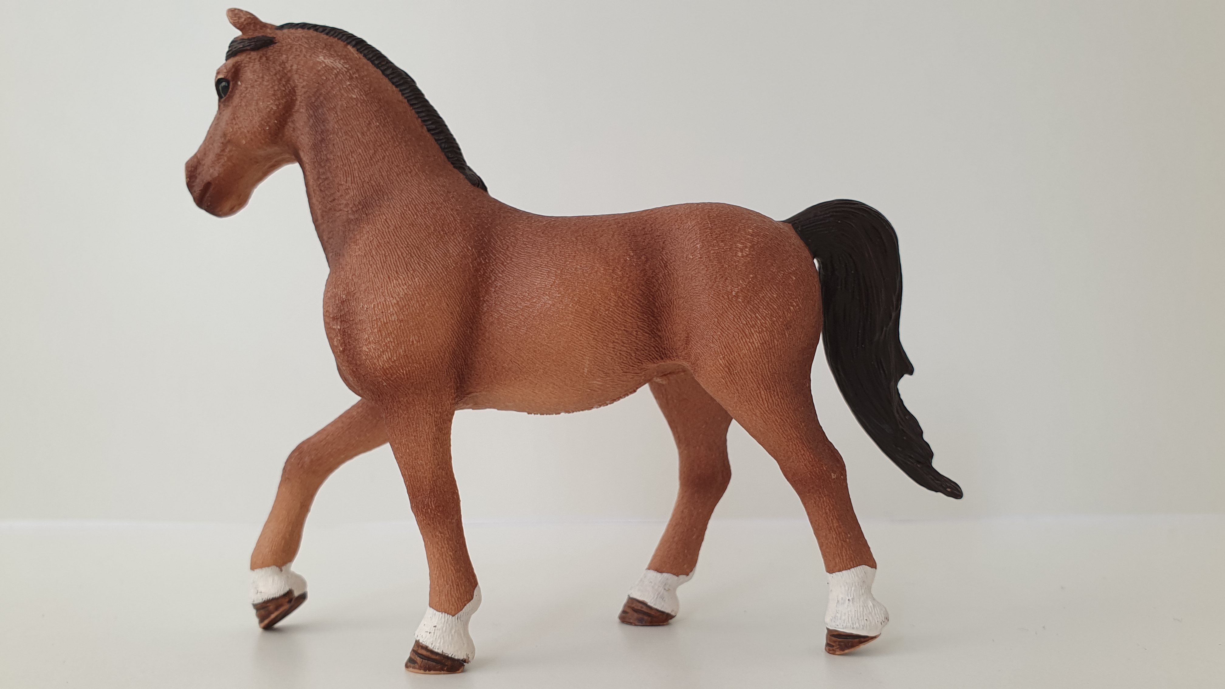 Quarter od Hannah  42411, model 2017