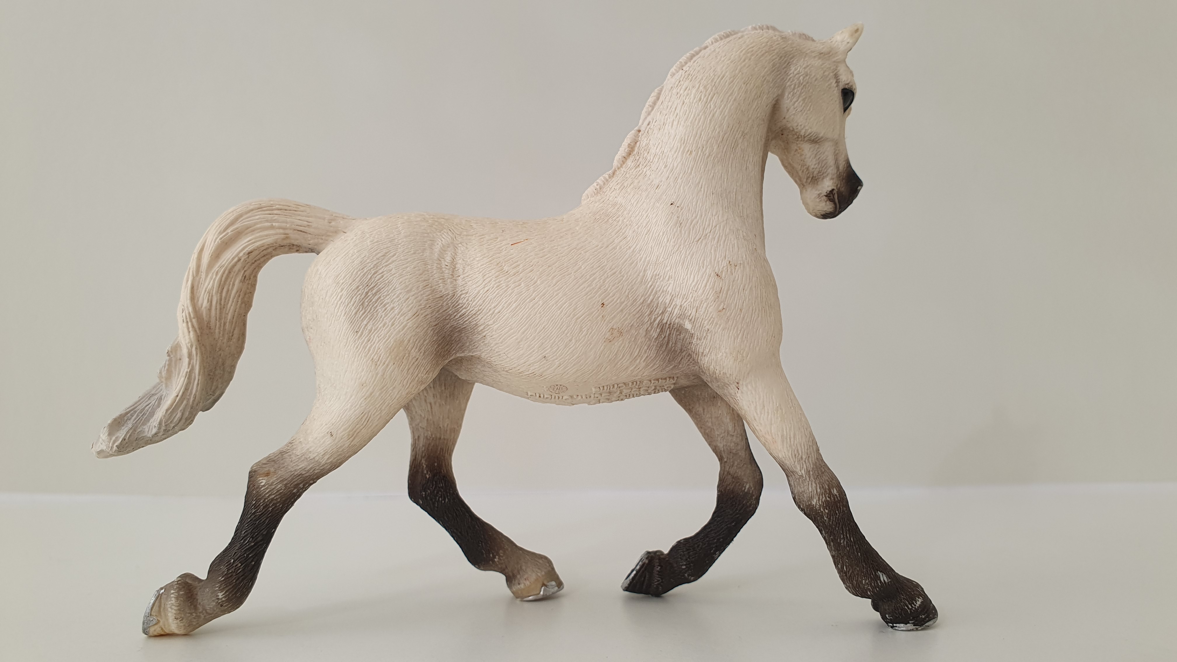 Bílá arabská klisna 13761, model 2013