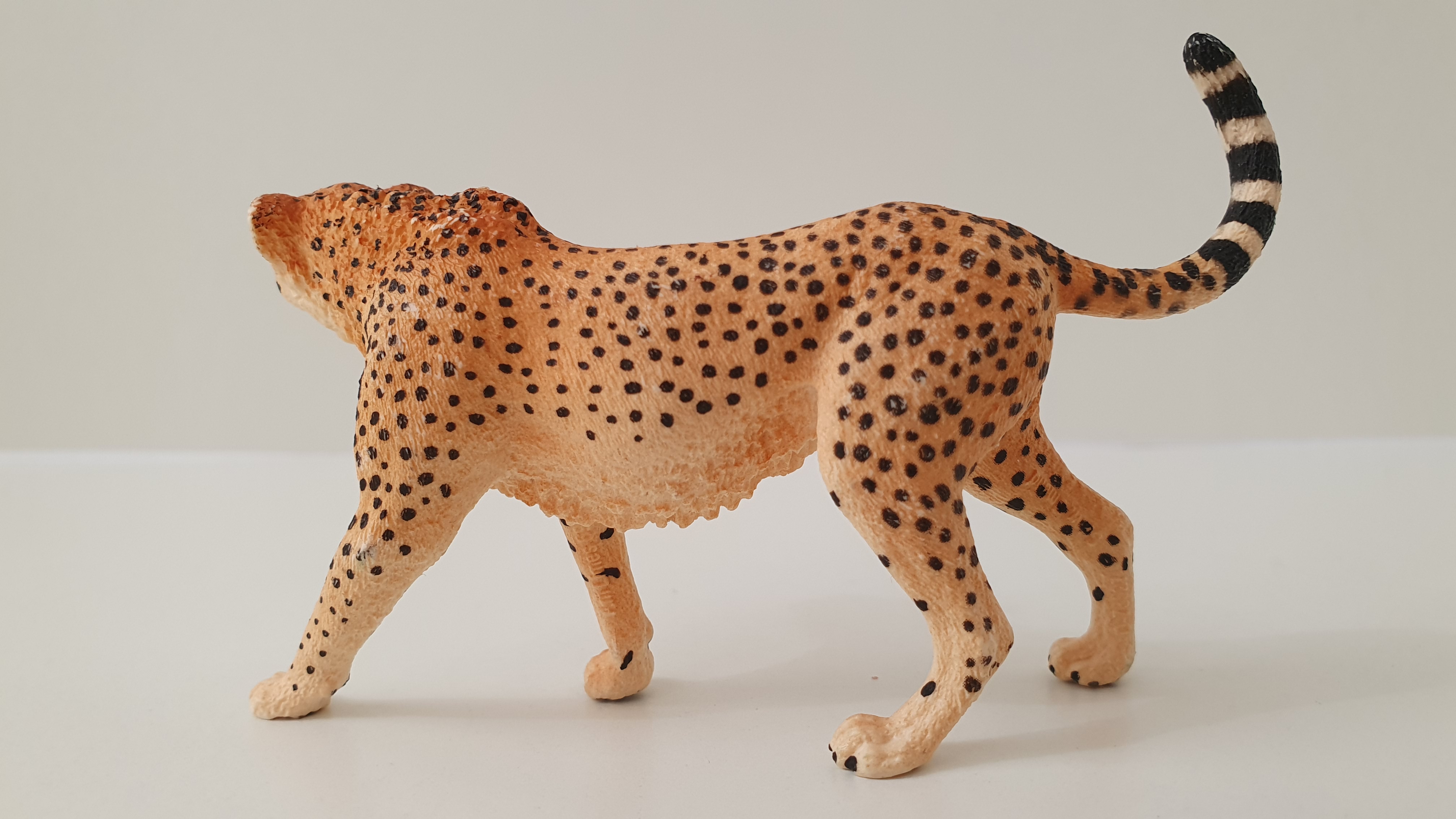 gepard 14746, model 2015
