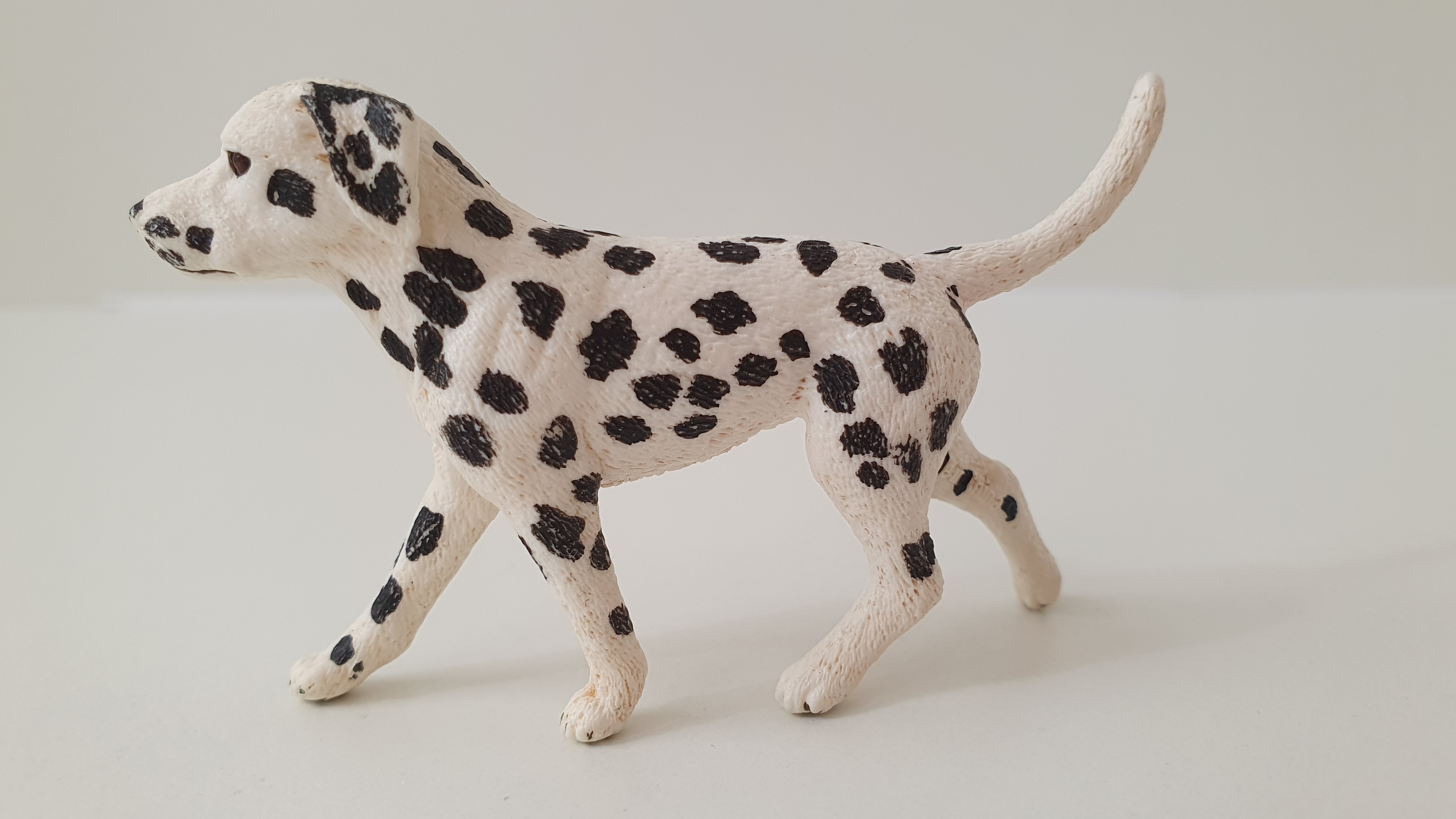 Dalmatin 16838, model 2015