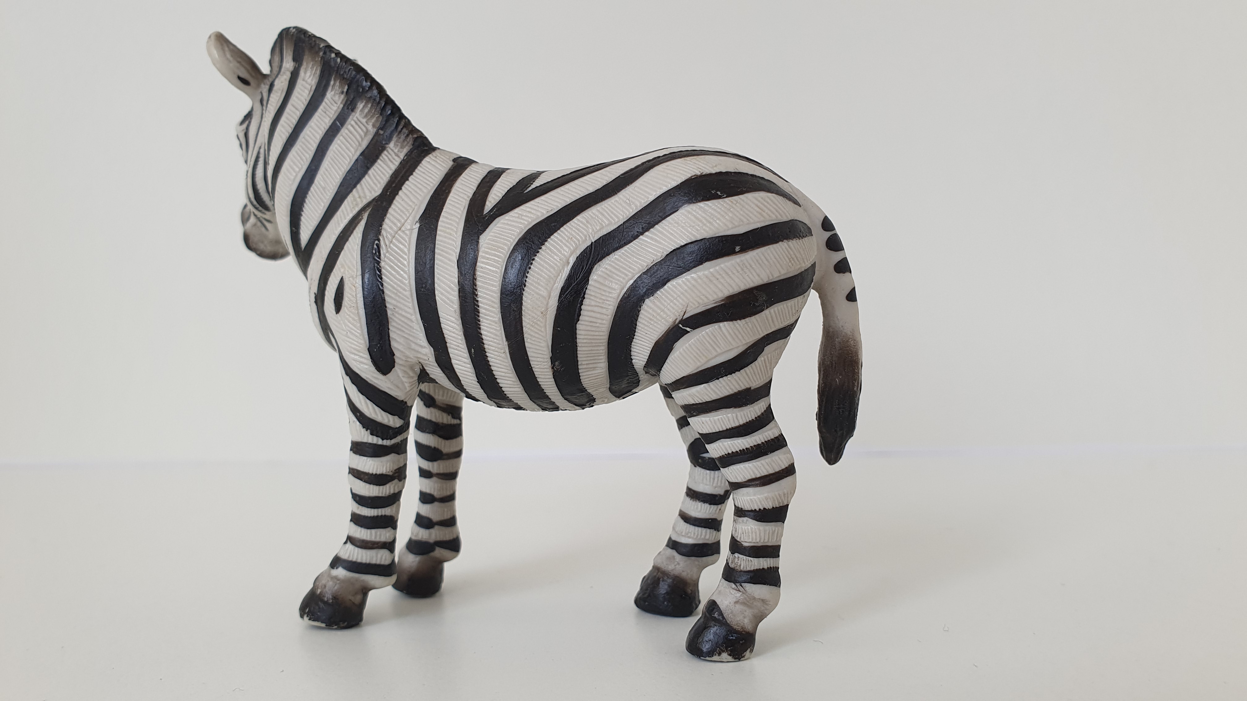 zebra 14148, model 1998