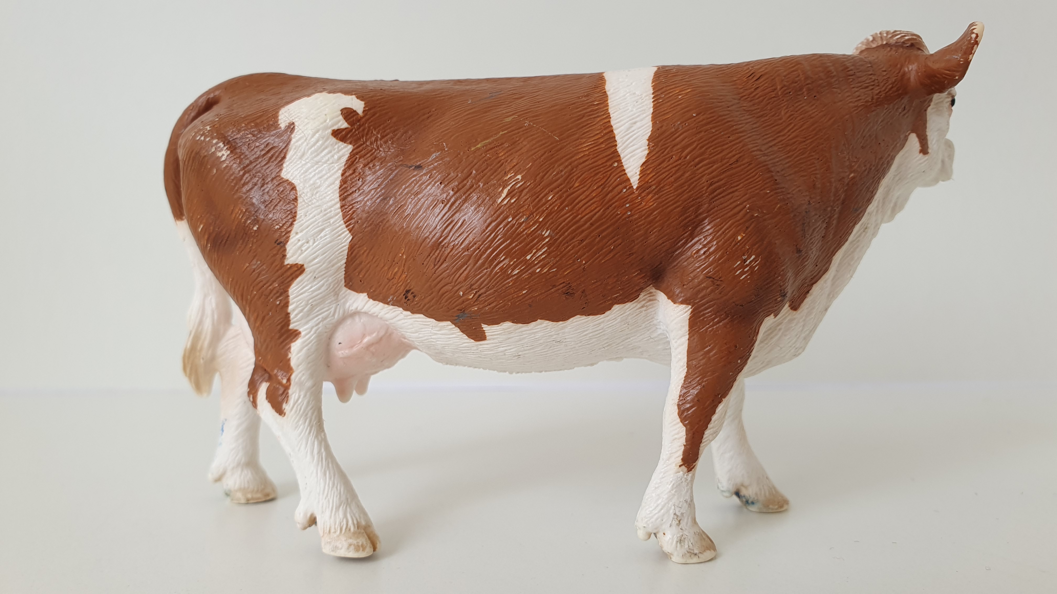 kráva Simmentálská  13641, model 2008