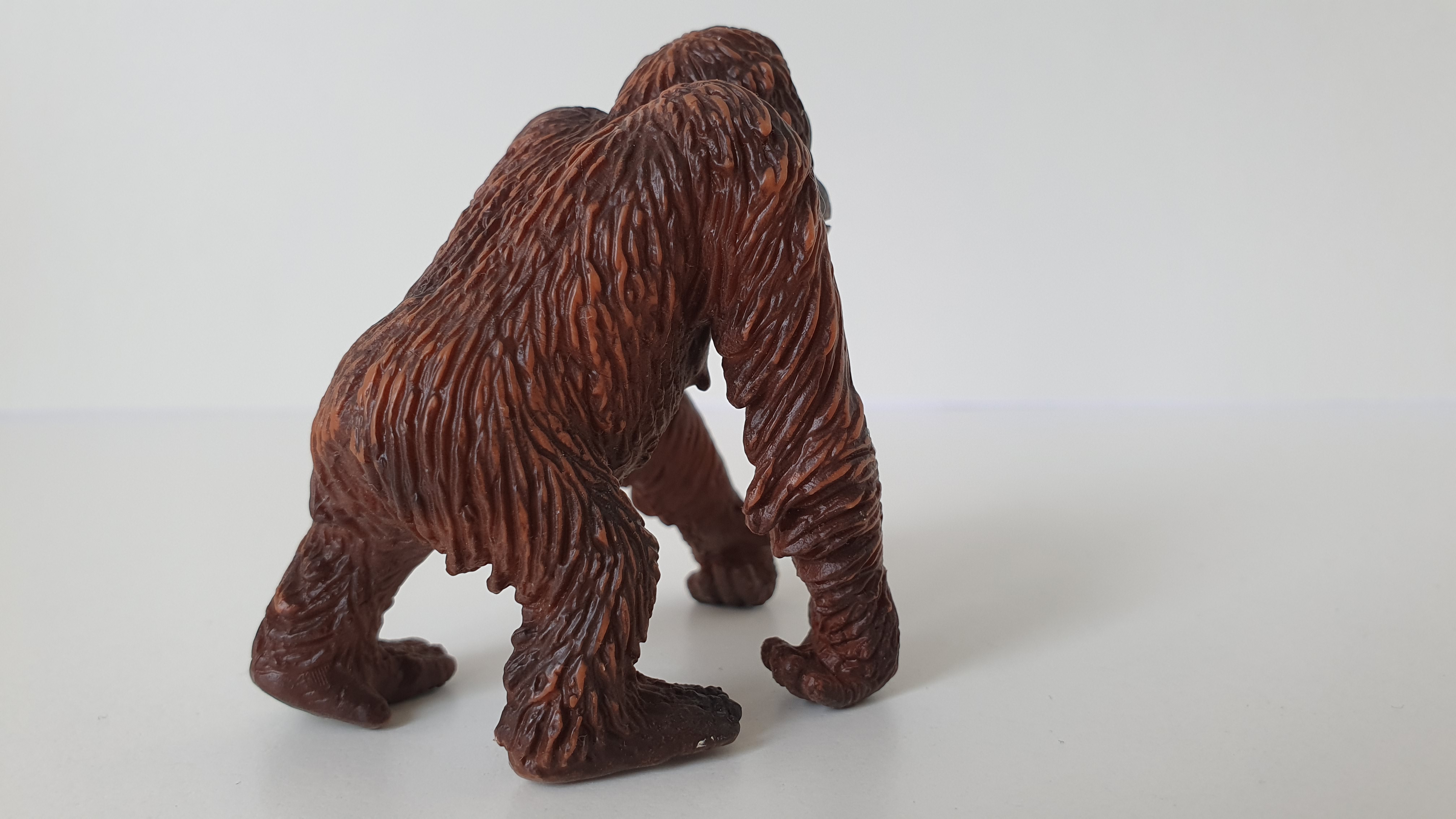 orangutan  14306, model 2002