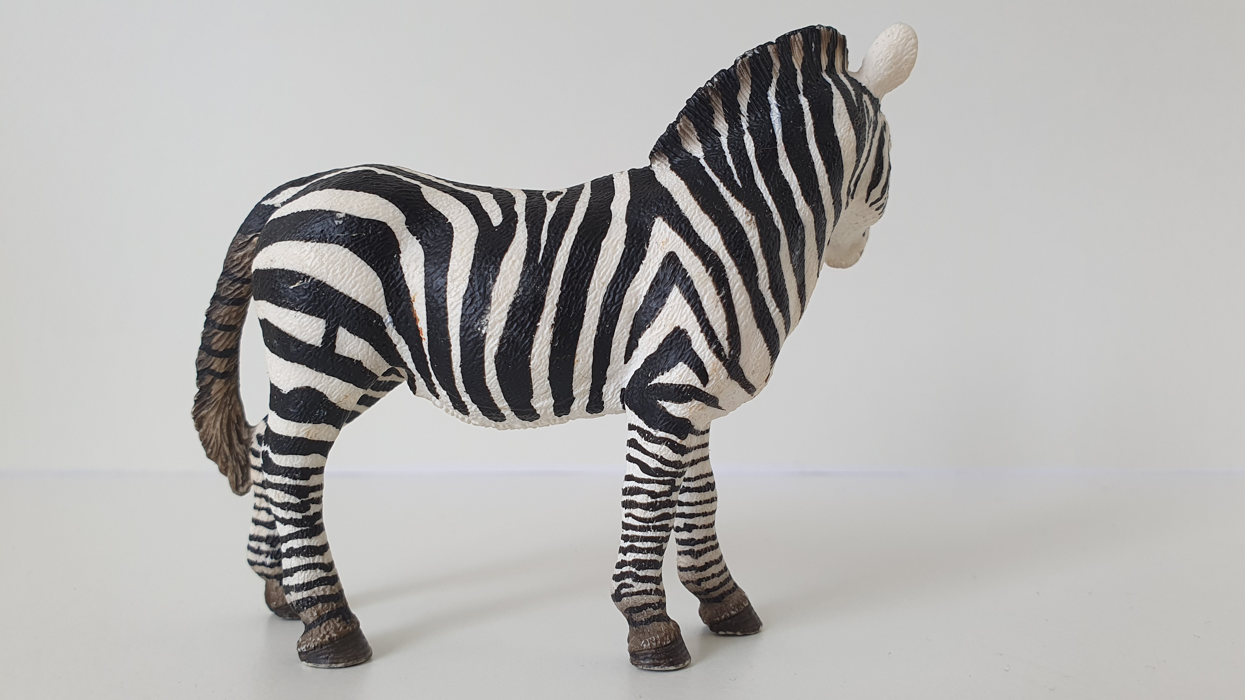 zebra  14392, model 2008