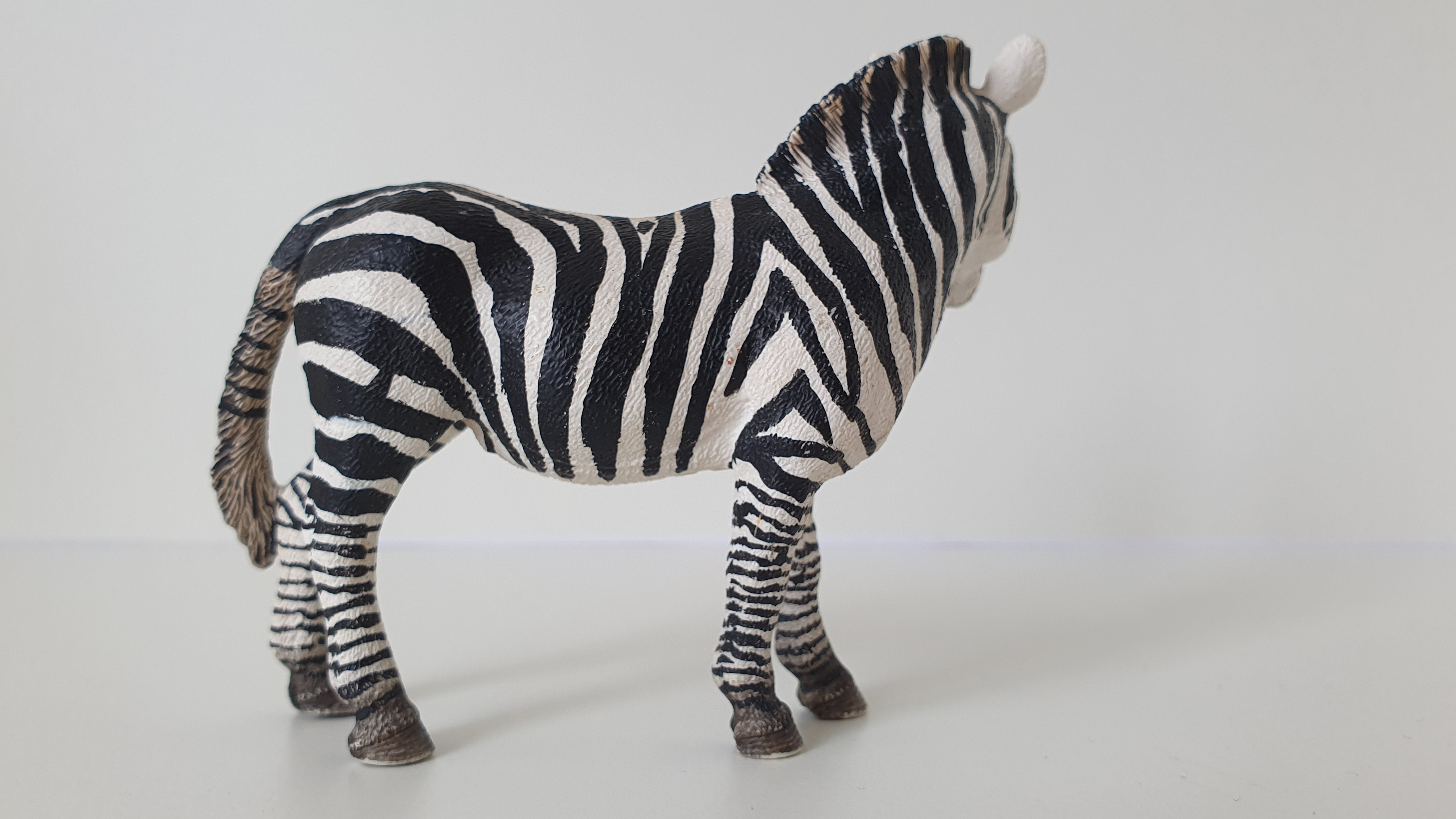 zebra 14392, model 2008