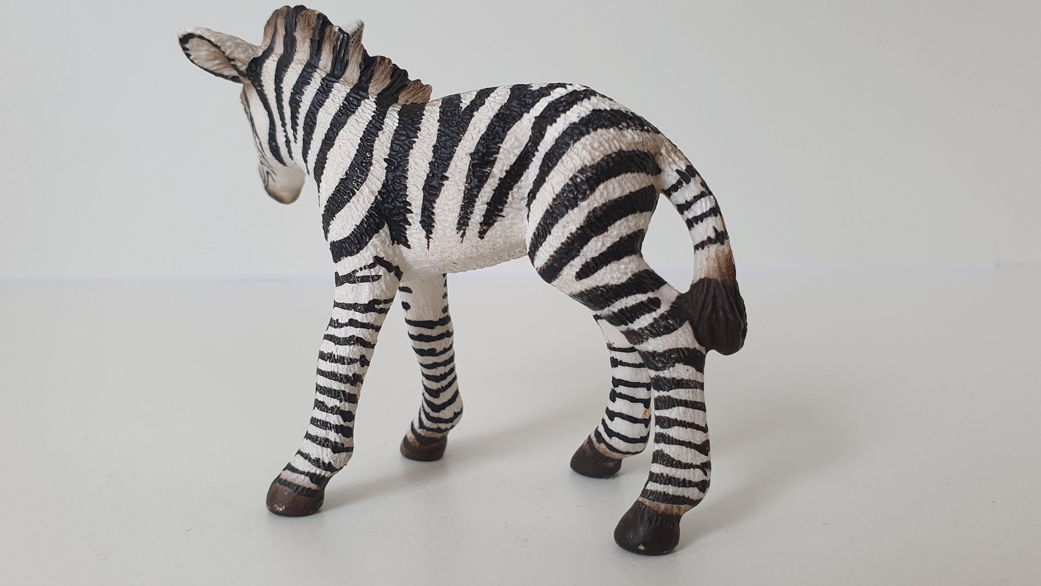 zebra mládě 14393, model 2008