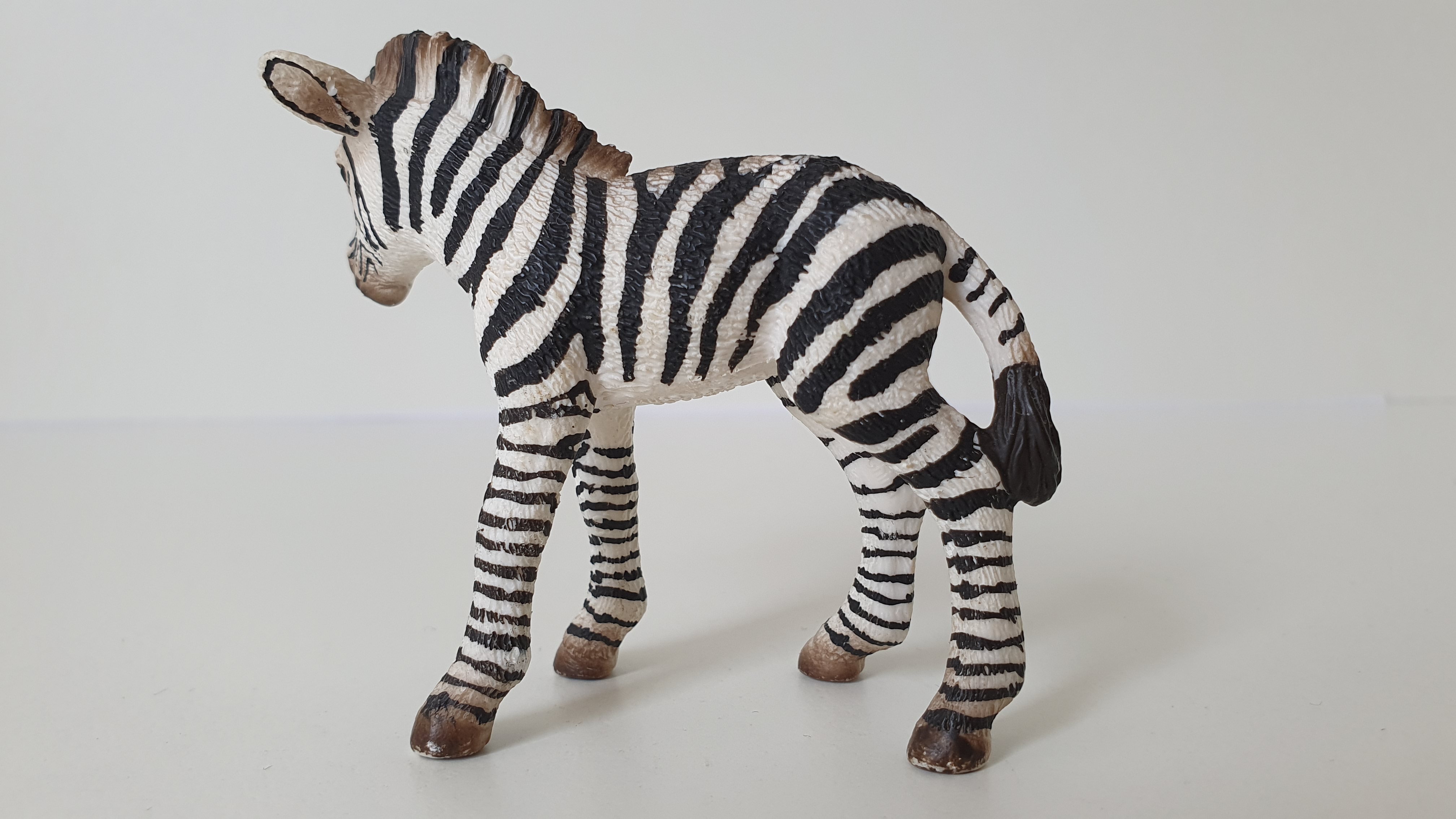 zebra mládě 14393, model 2008