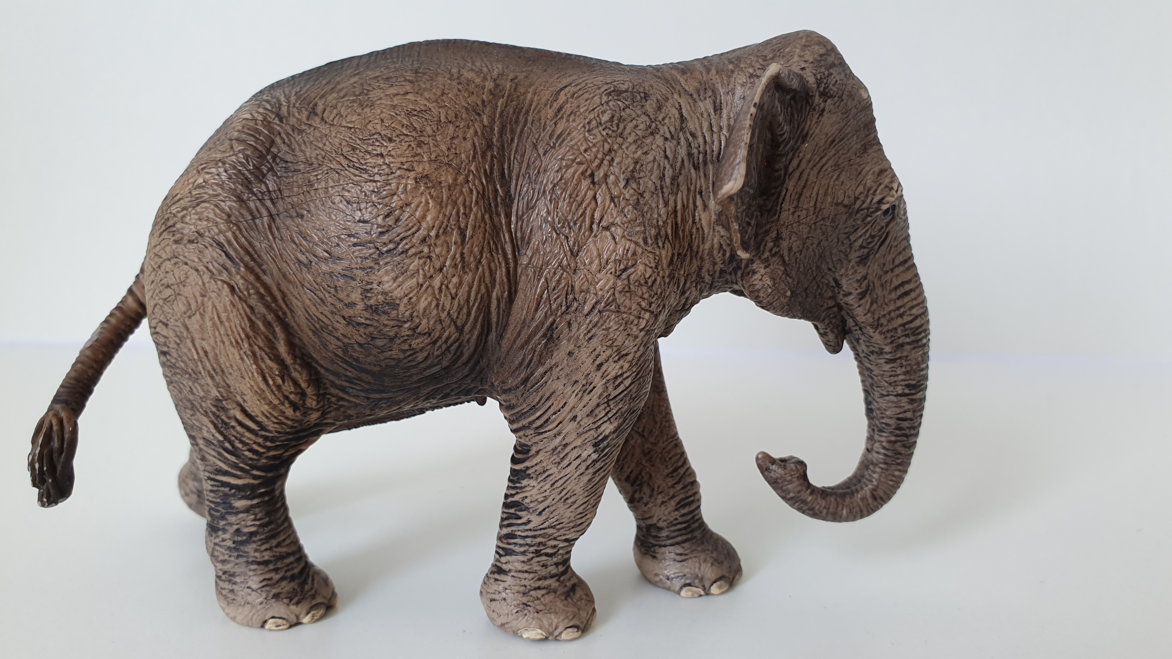 slon 14753, model 2015