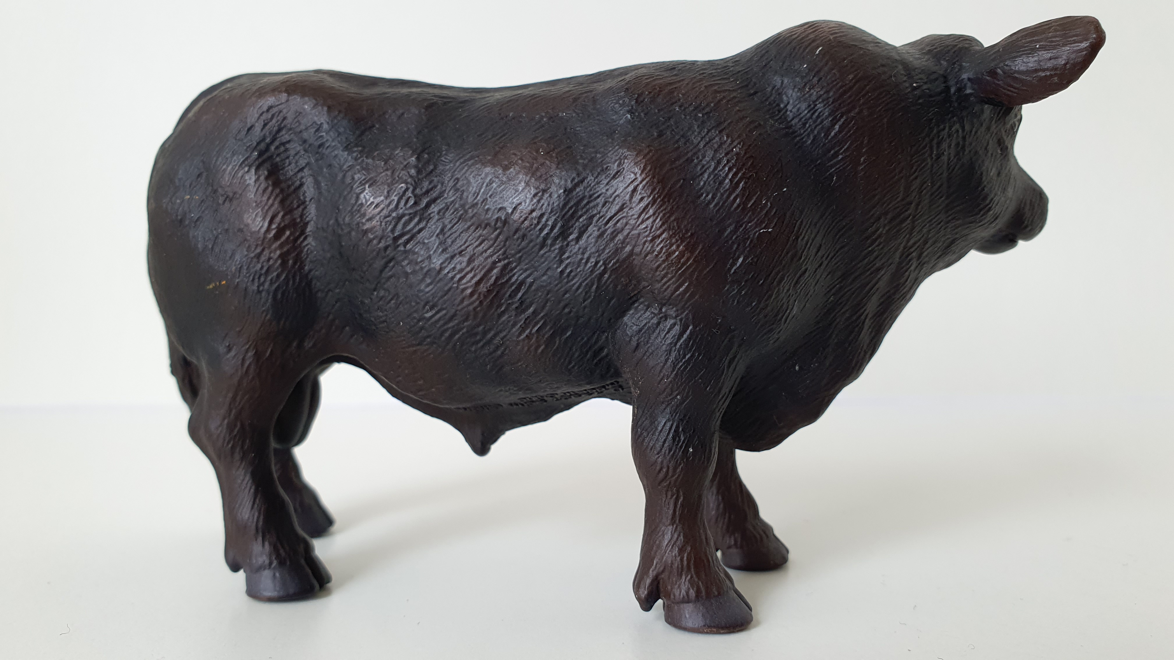 býk Anguský černý 13282, model 2003