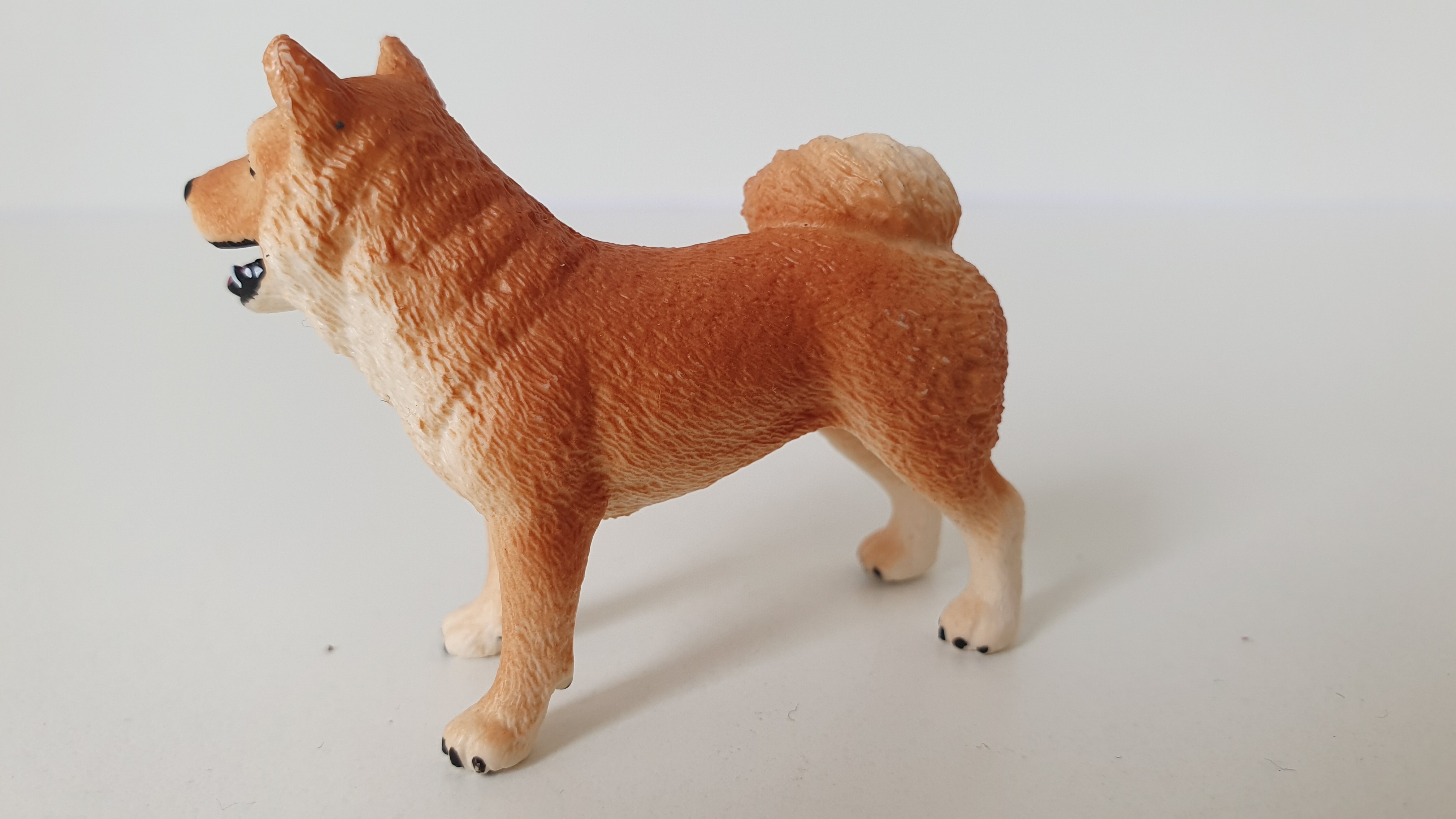 Shiba-Inu ze setu 42479