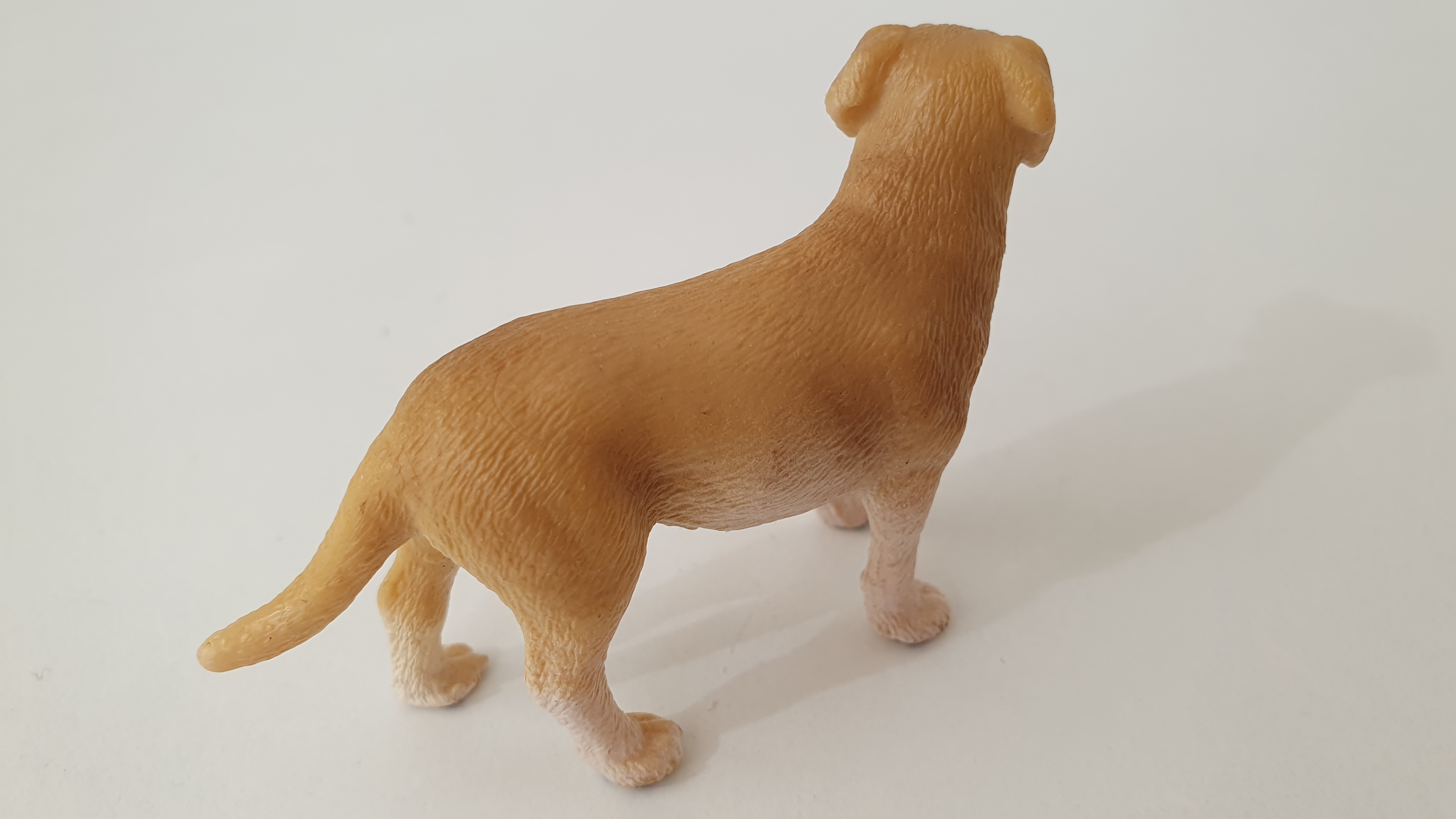 labrador 16386, model 2009