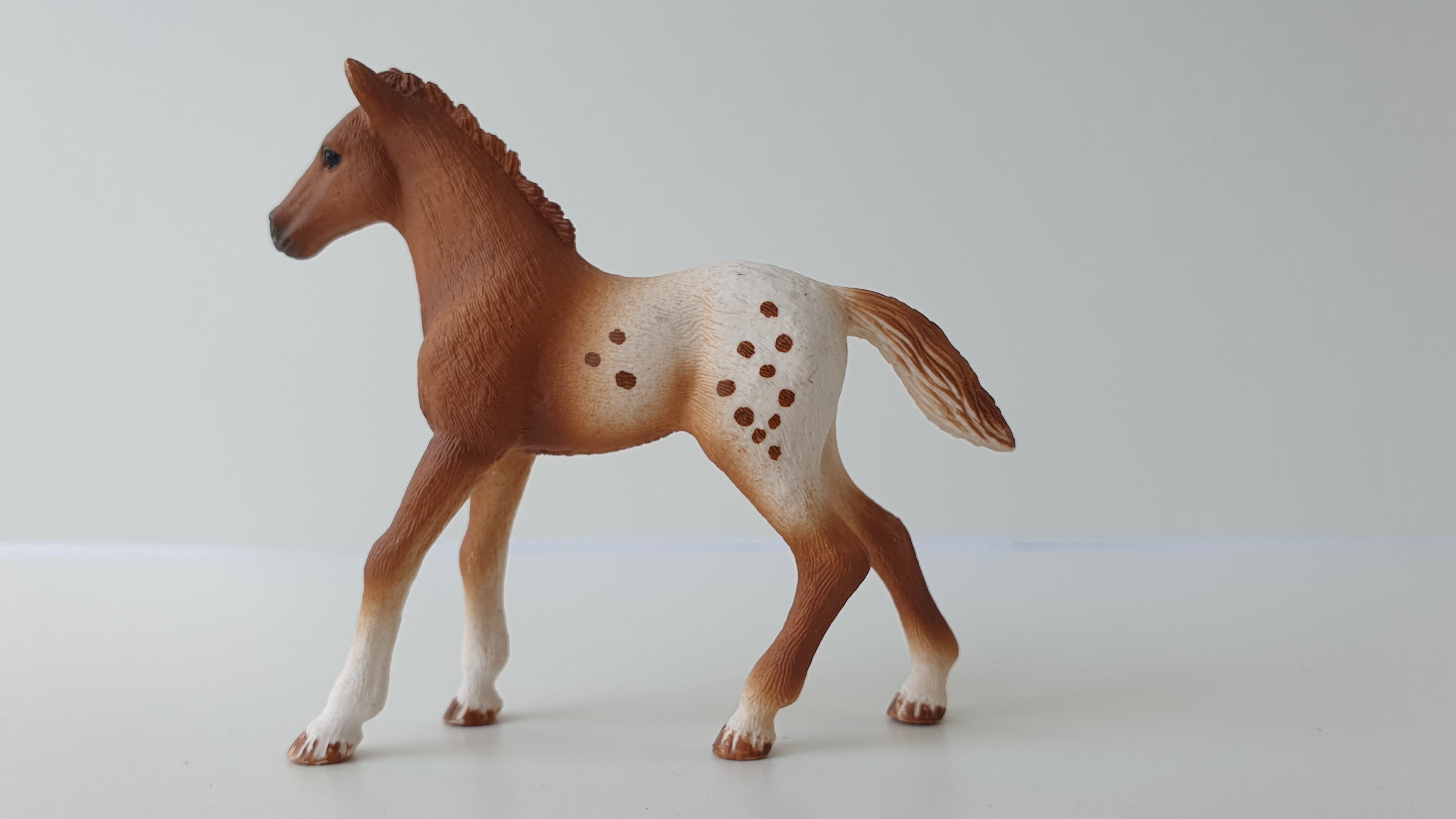 Appaloosa hříbě 42433, model 2017