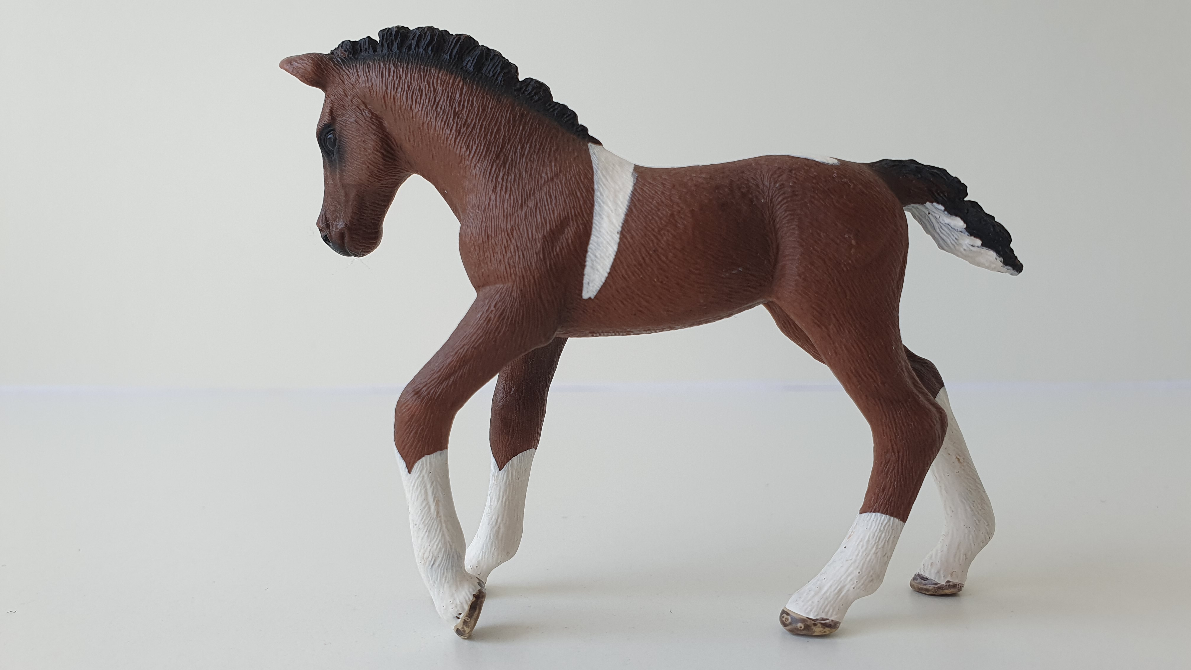 Hříbě koně Trakehnerského hříbě 13758, model 2013