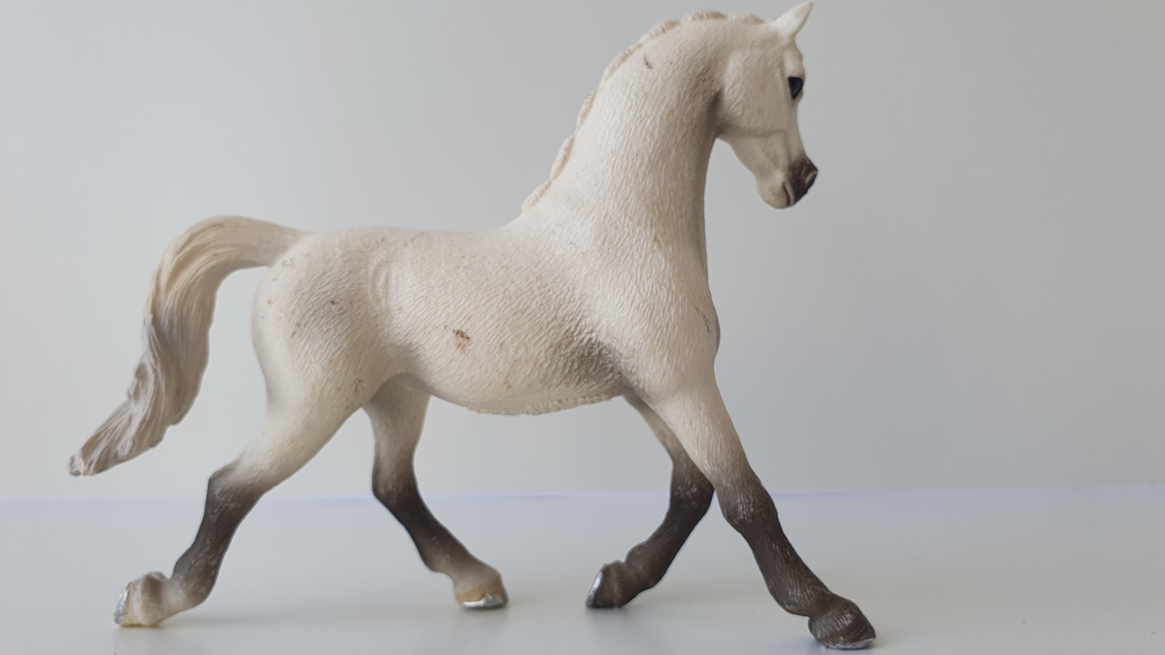 Bílá arabská klisna 13761, model 2013