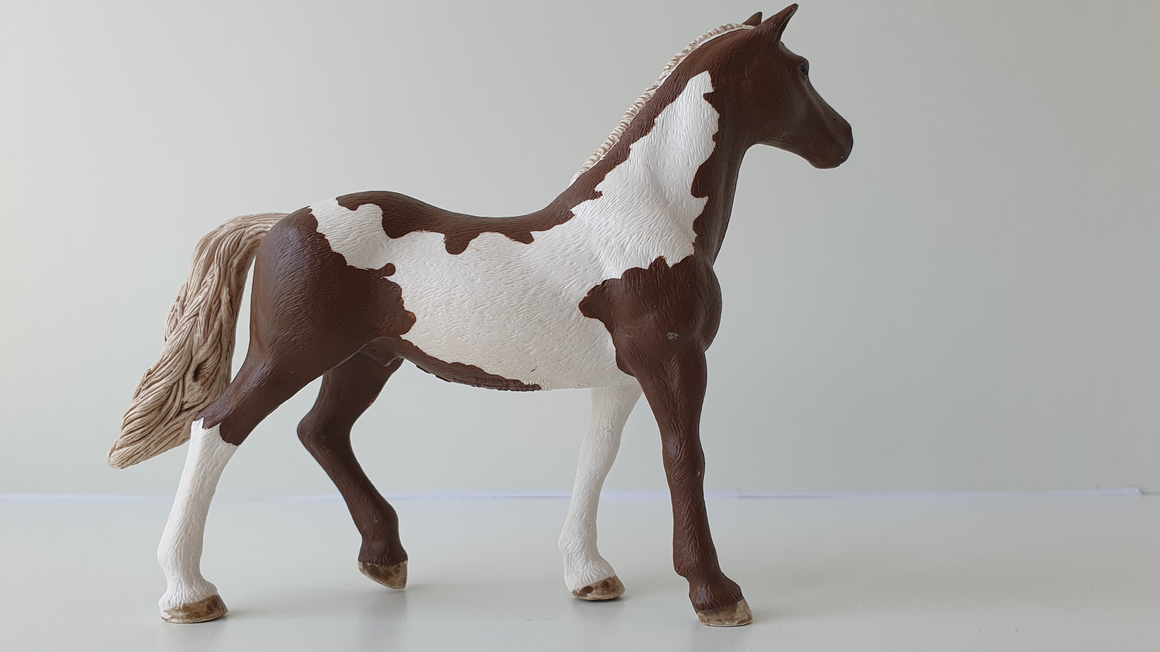 Paint horse valach  13885, model 2018