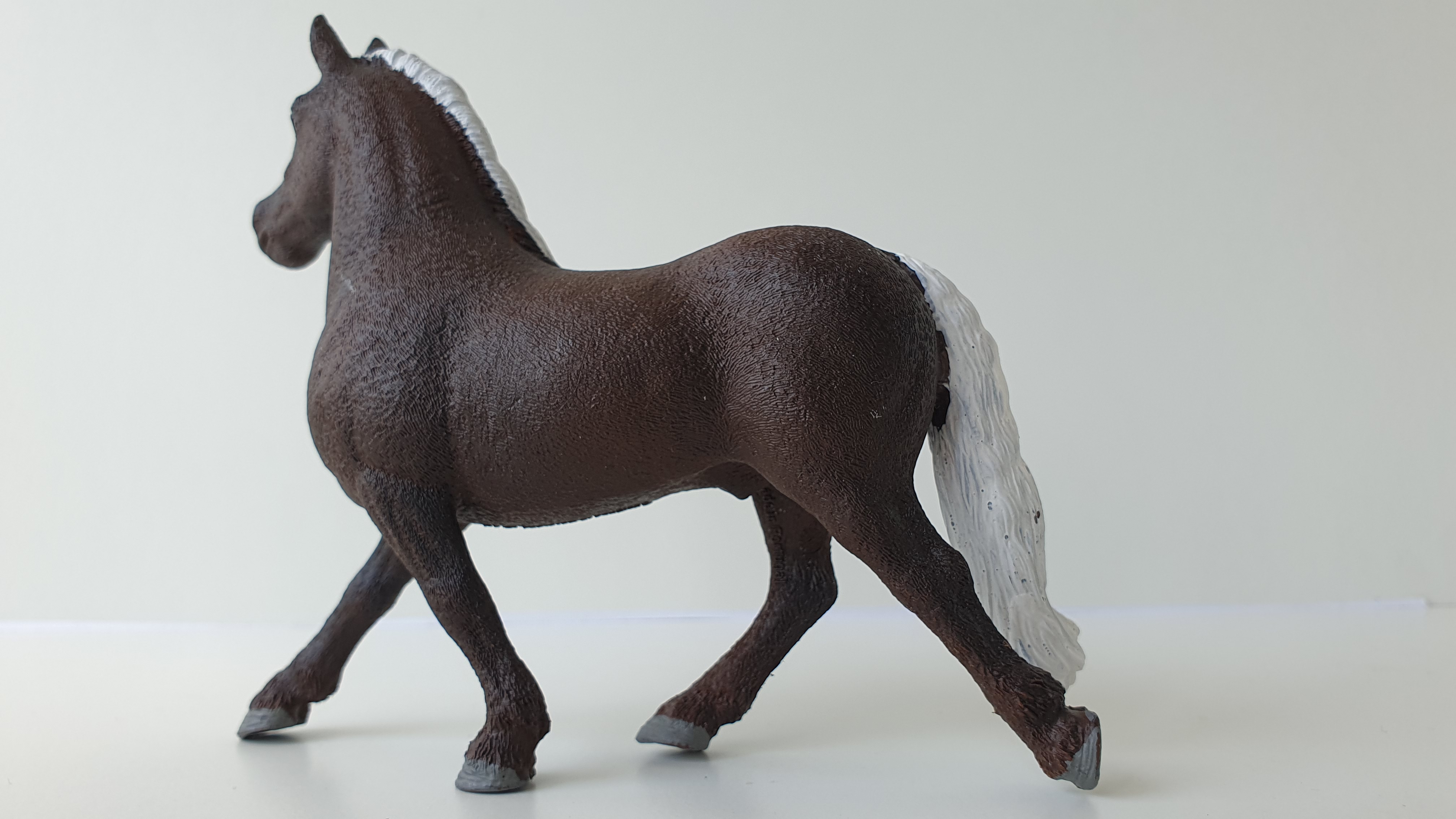 Černý lesní hřebec 13897, model 2019