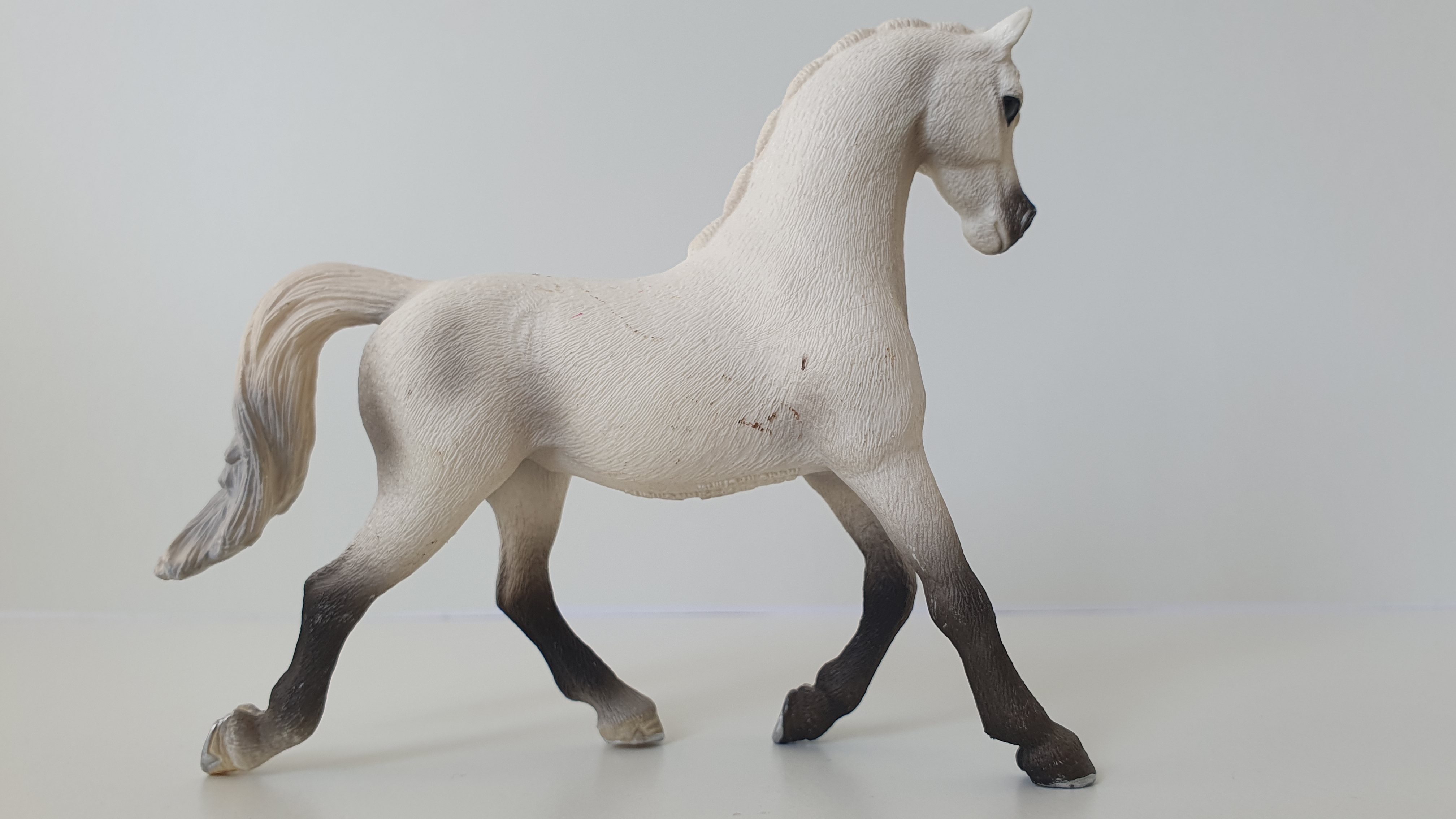 Bílá arabská klisna 13761, model 2013