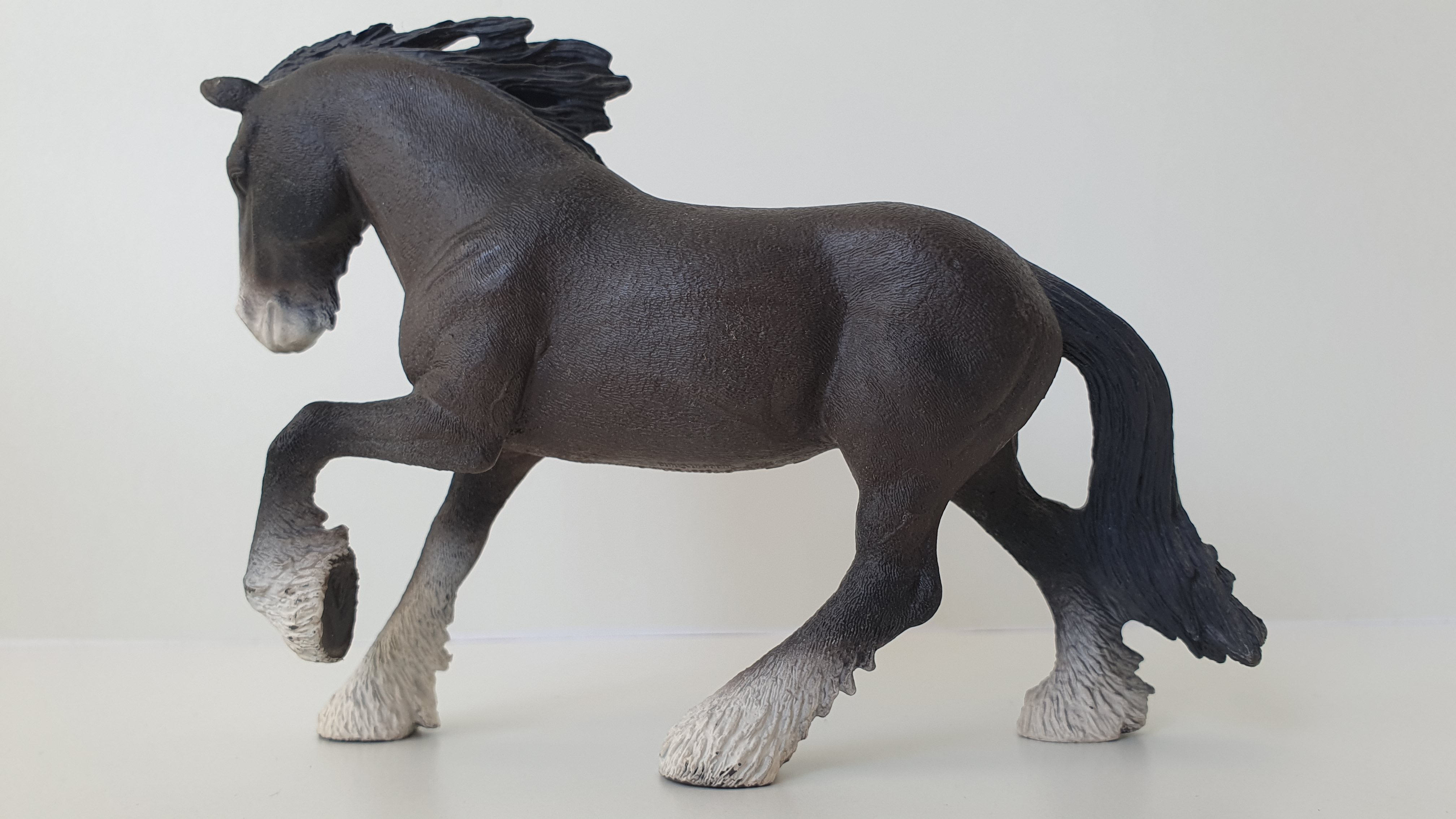 Hřebec shirský 13734, model 2012