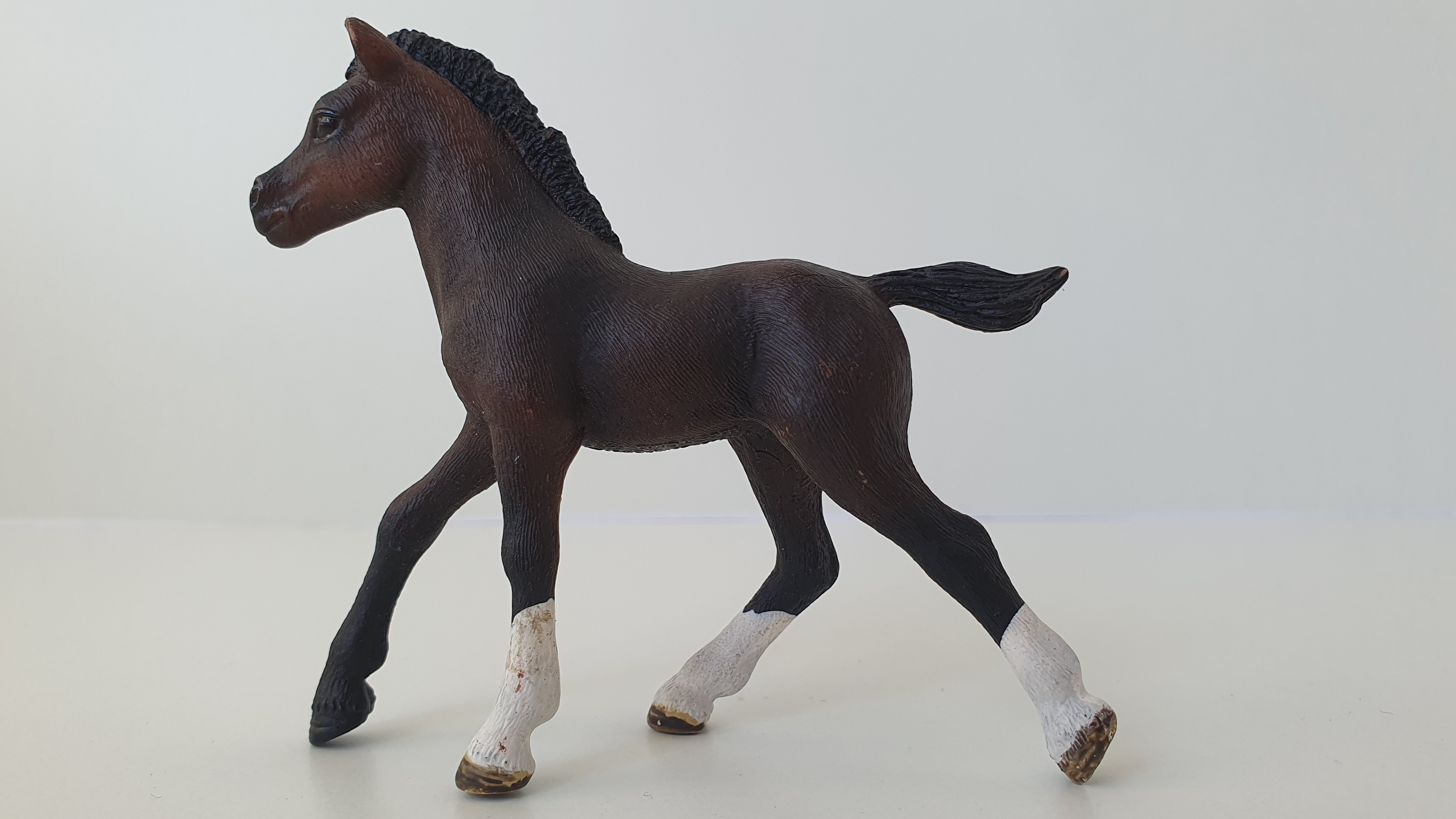 Arabské hříbě 13762, model 2013