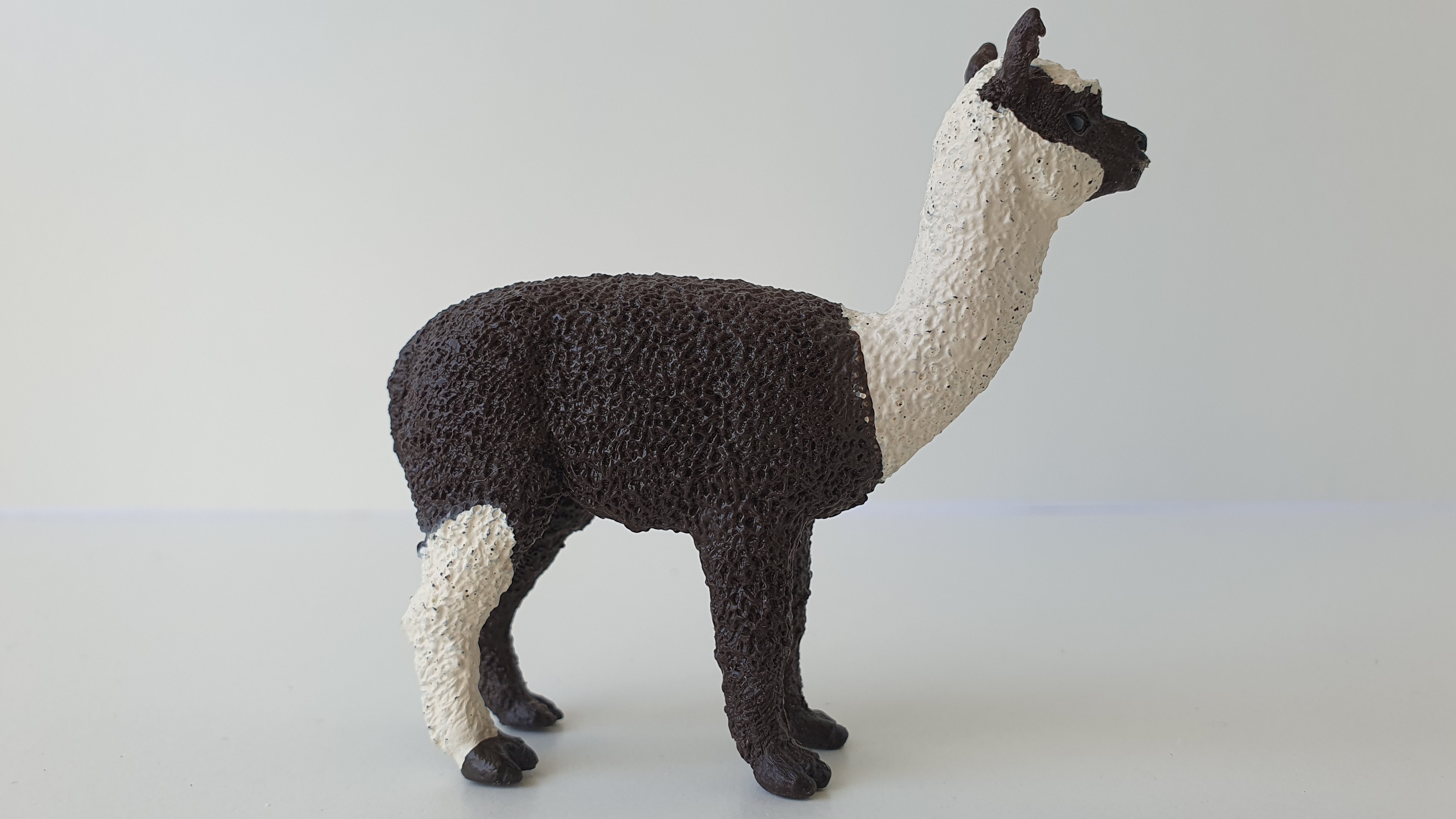 lama 13704