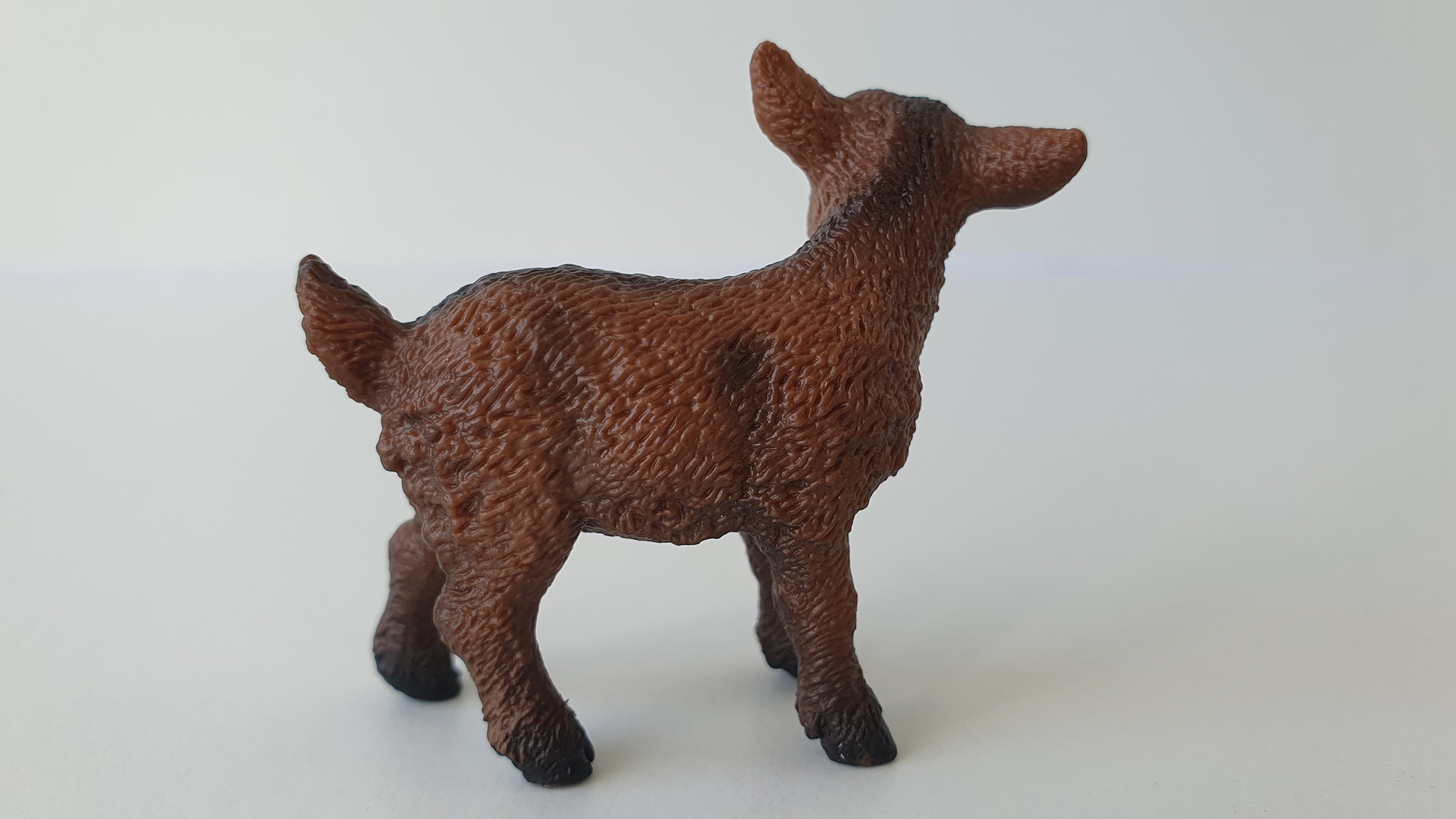 kůzle hnědé 13829, model 2016