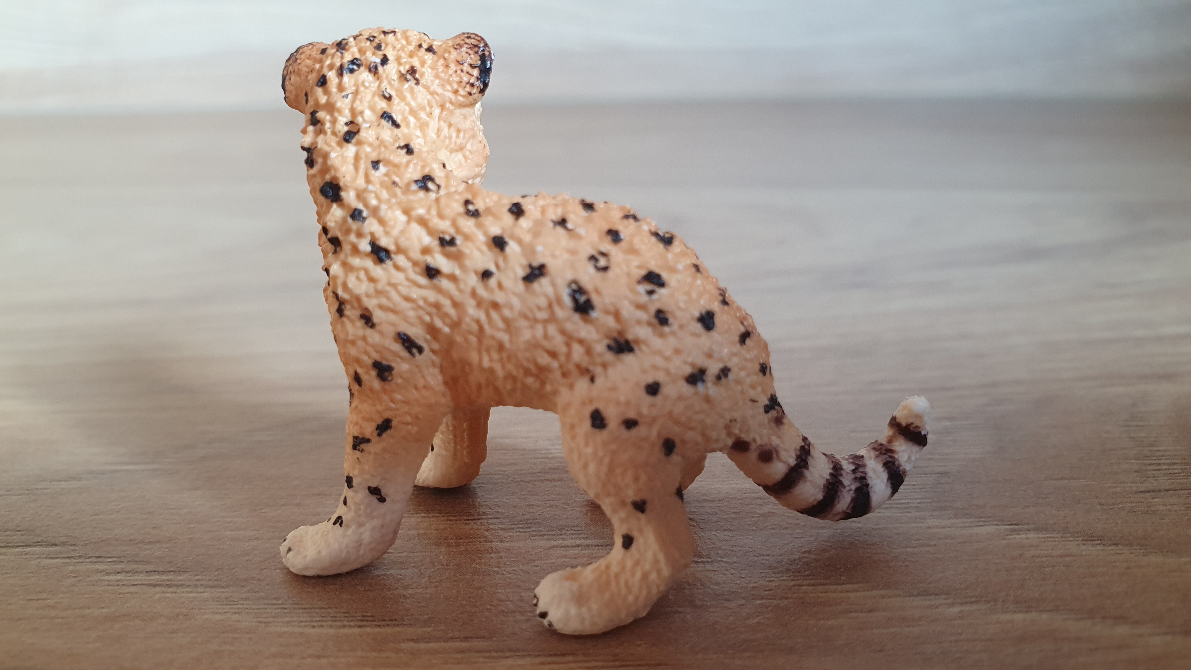 gepard mládě 14747, model 2015