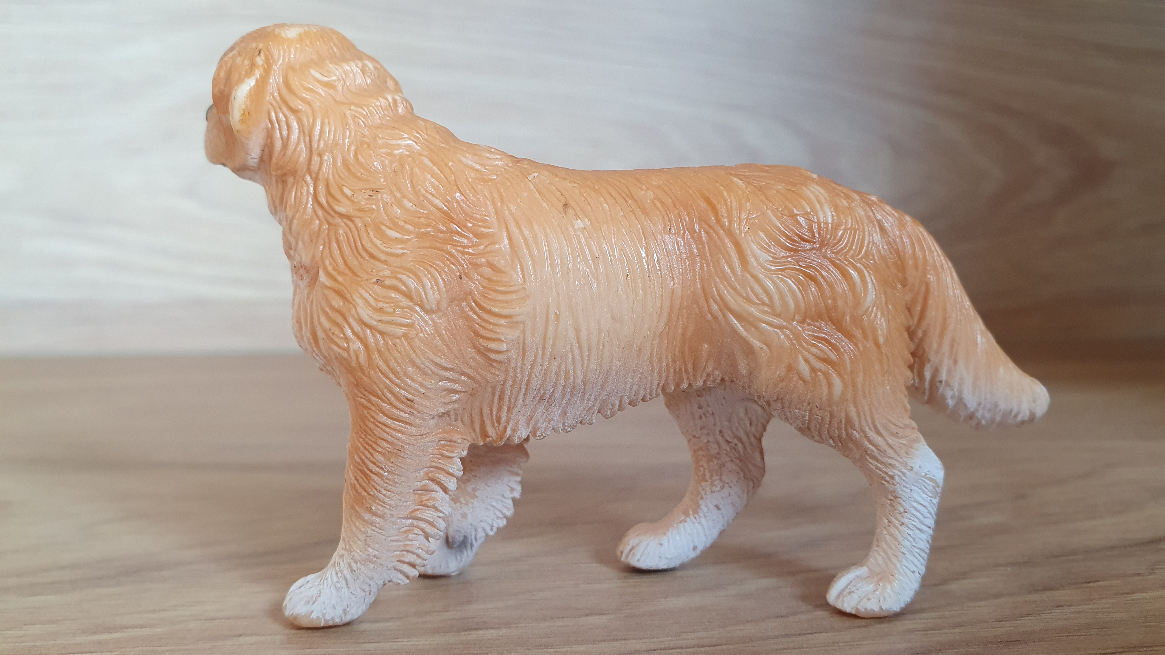 zlatý retrívr 16377, model 2008