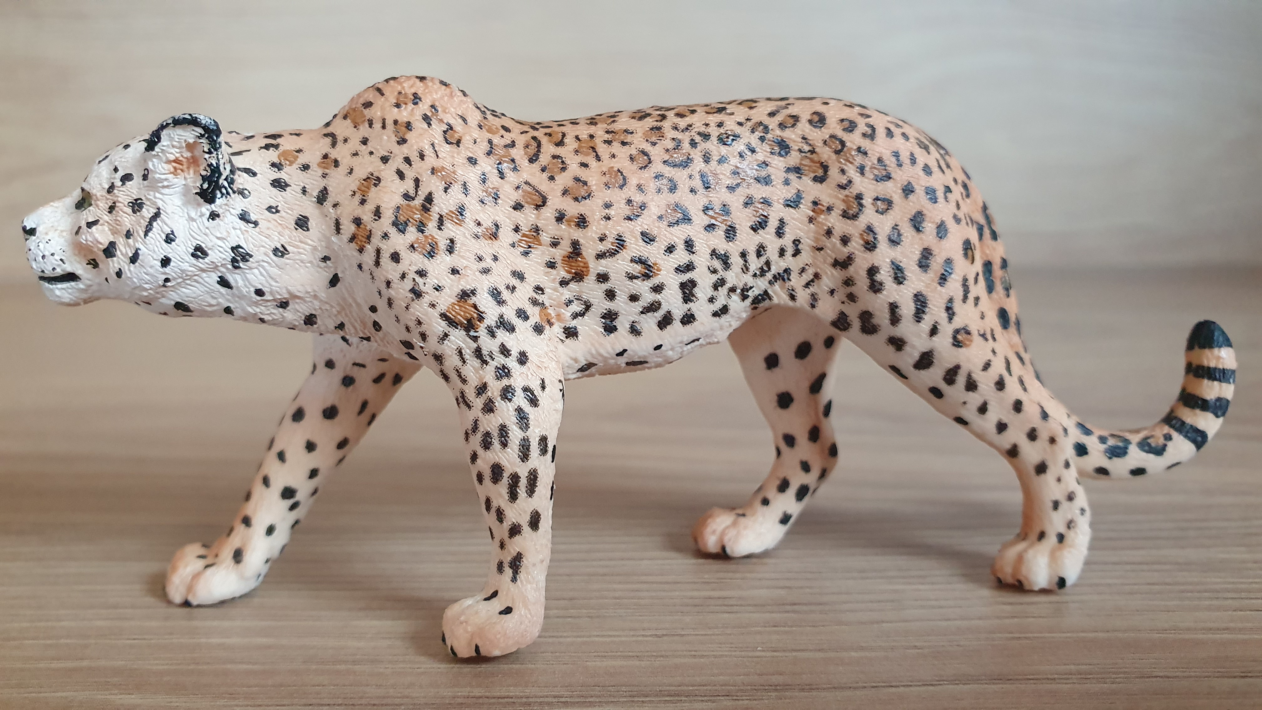 leopard 14748, model 2015