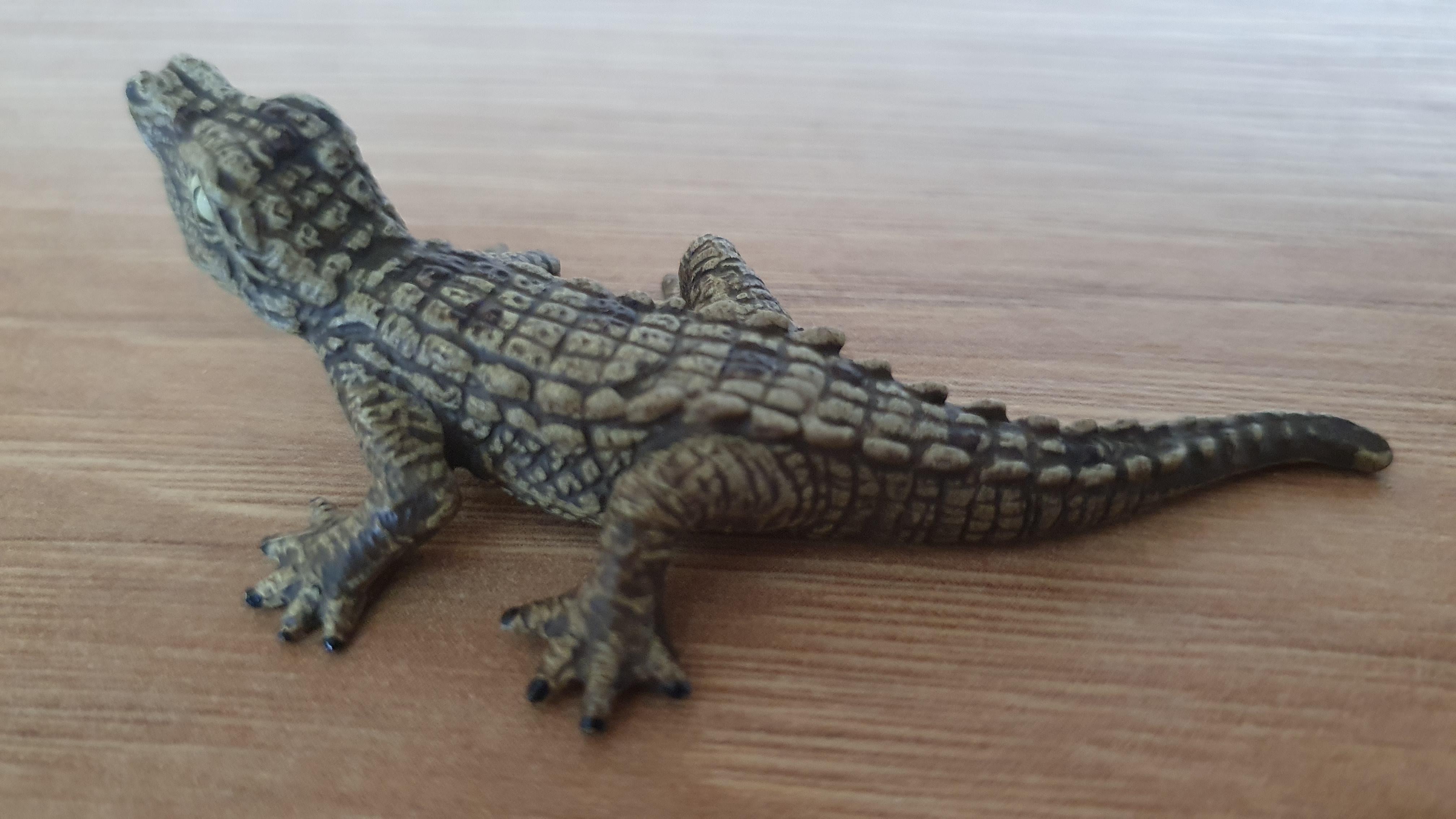 krokodýl mládě 14683, model 2012