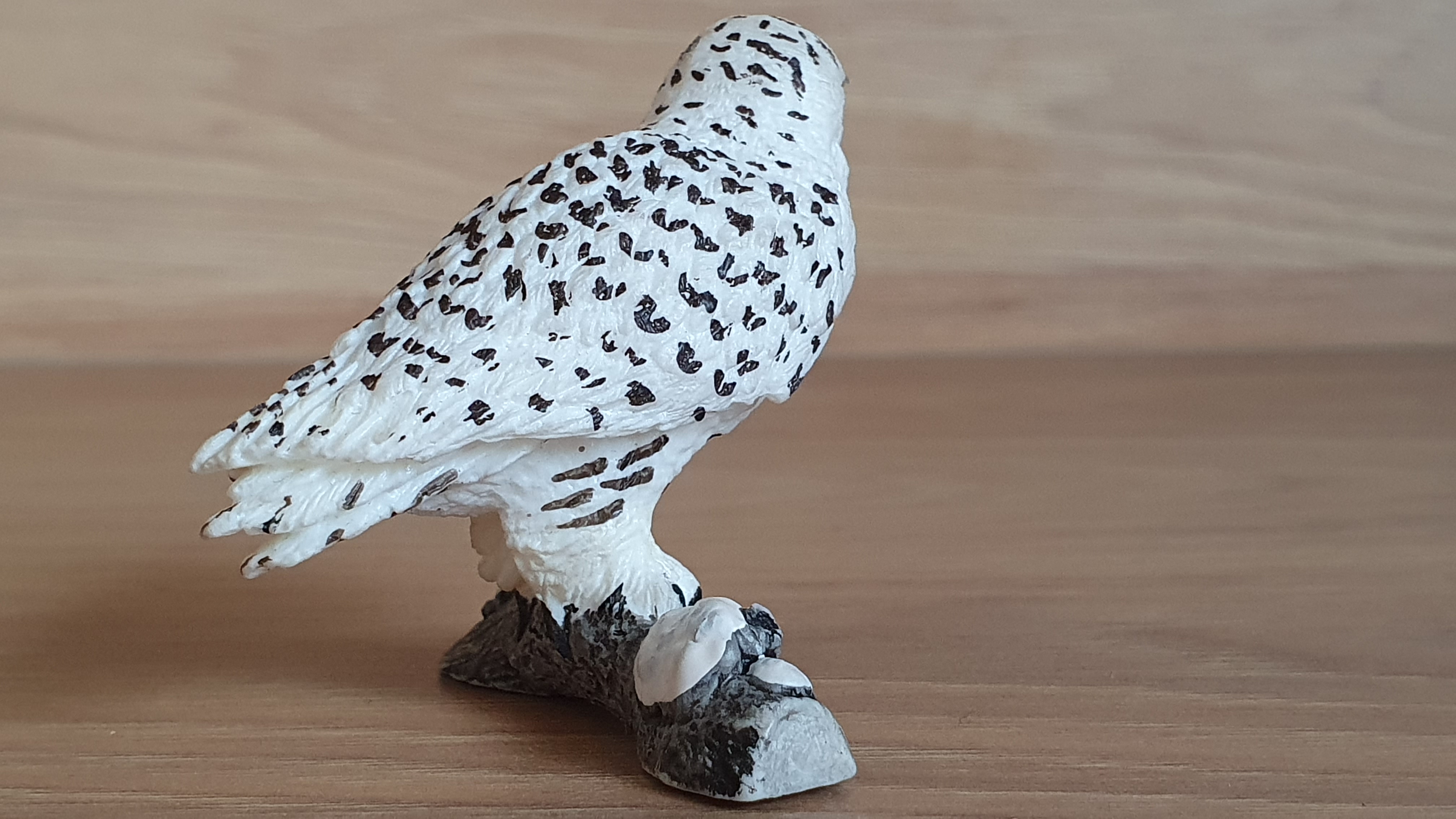 sova sněžná 14671, model 2011