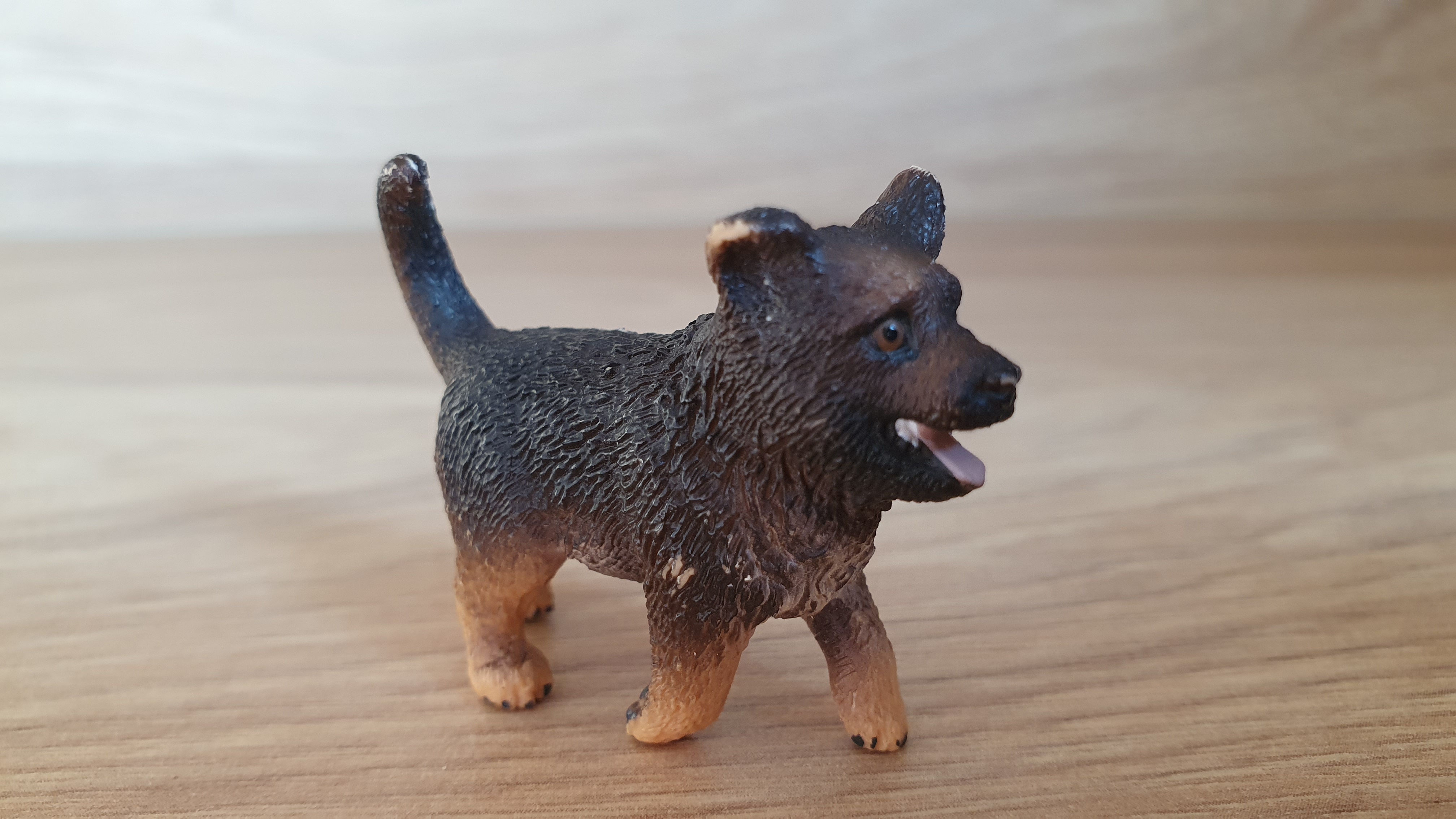 Německý ovčák štěně 16832, model 2014