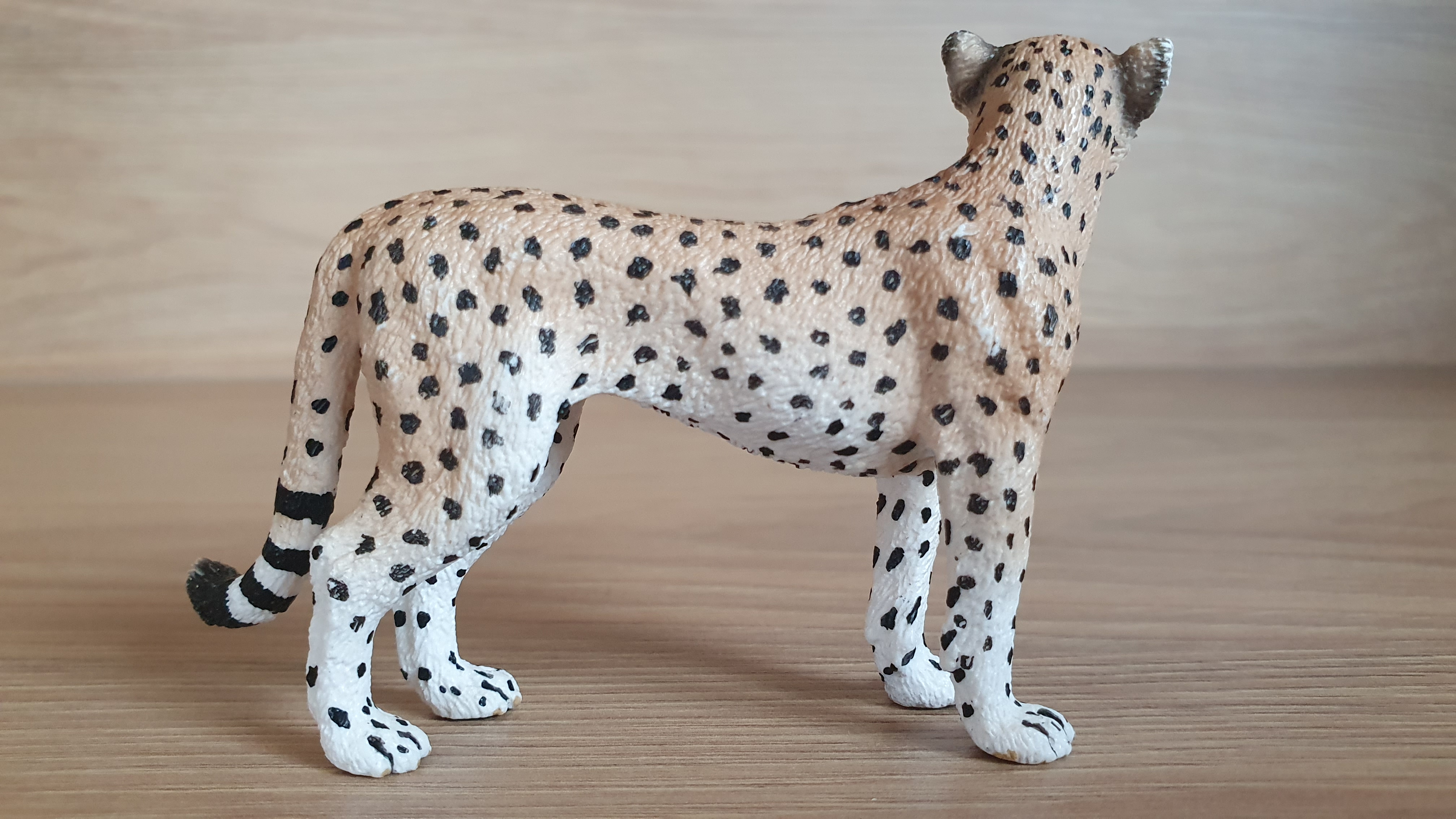 gepard 14614, model 2009